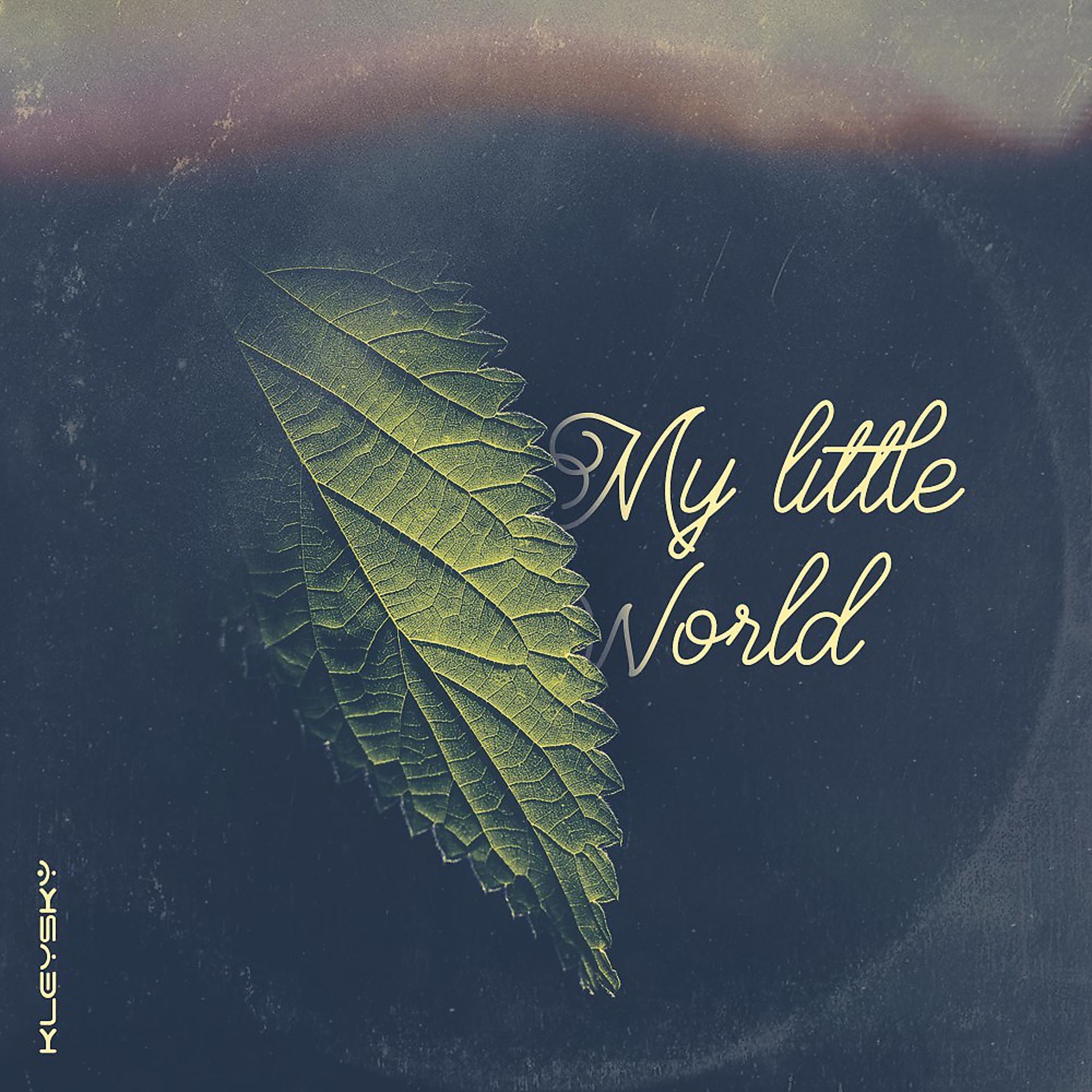 Постер альбома My Little World