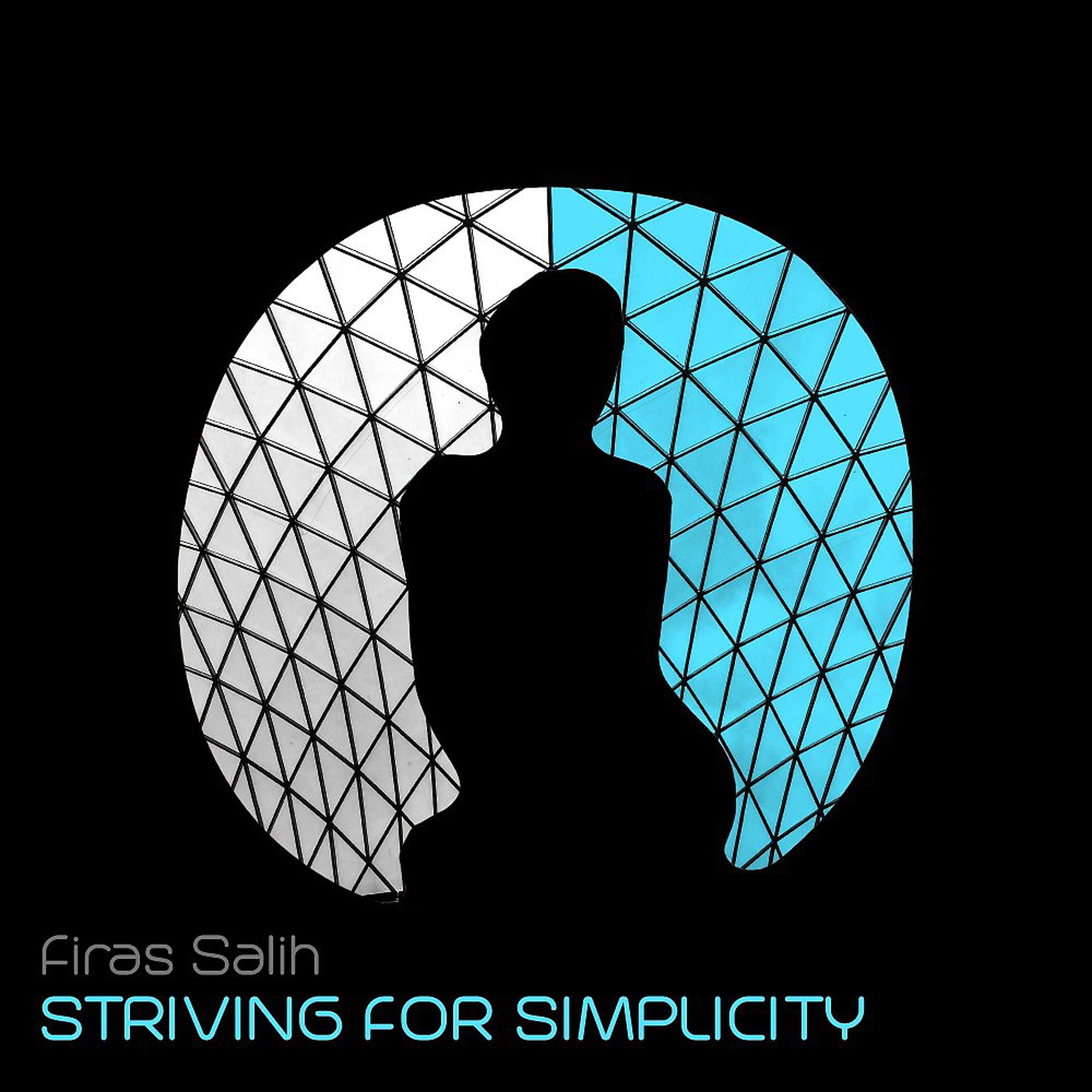 Постер альбома Striving for Simplicity