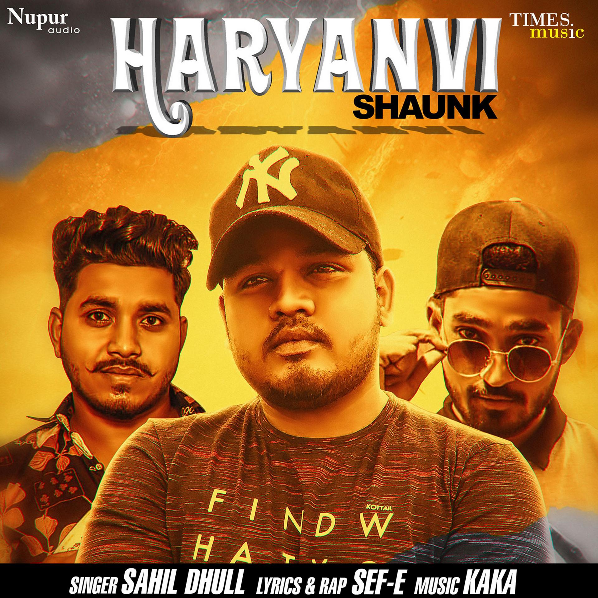 Постер альбома Haryanvi Shaunk - Single