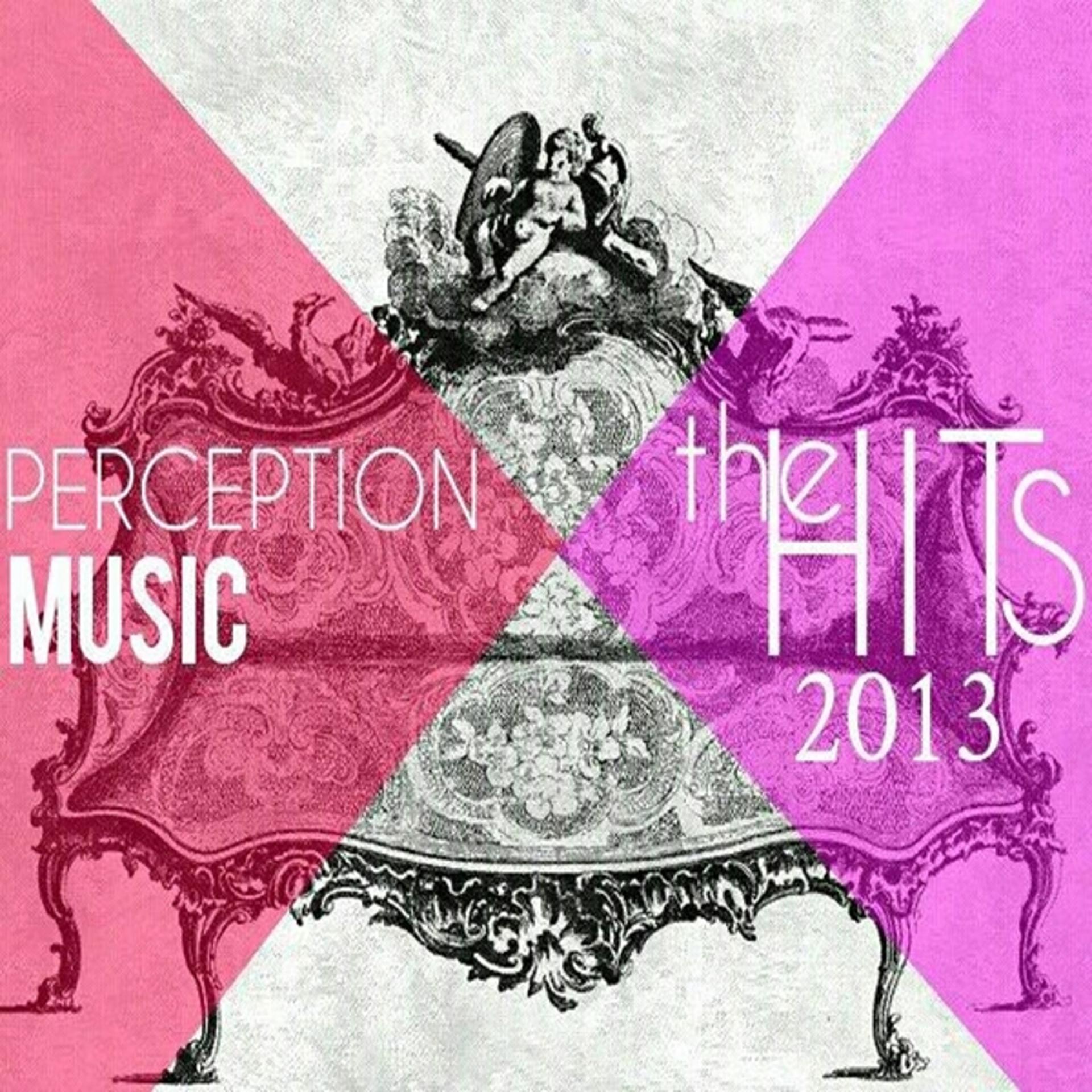Постер альбома Perception Music the Hits 2013