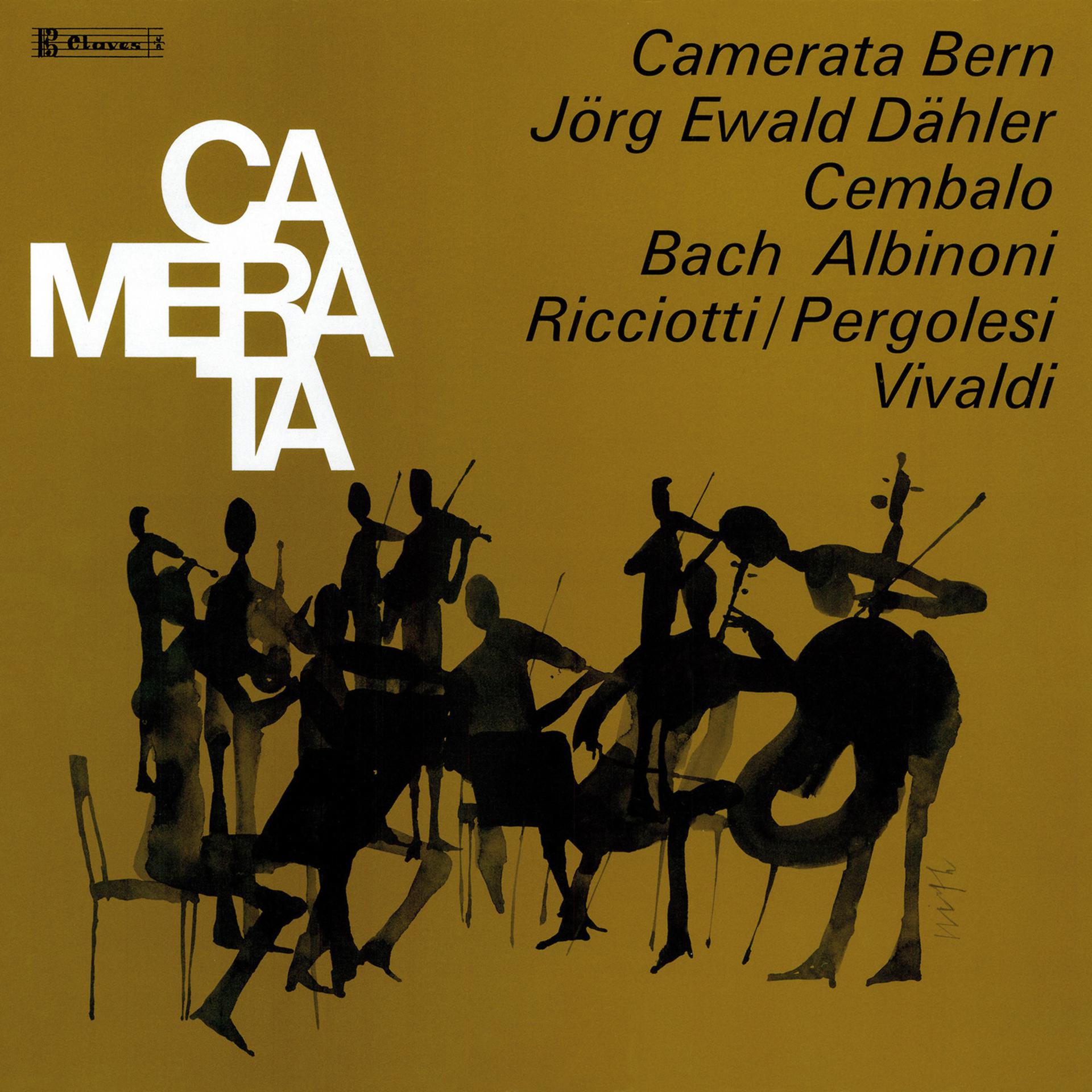 Постер альбома Rare Baroque Concertos