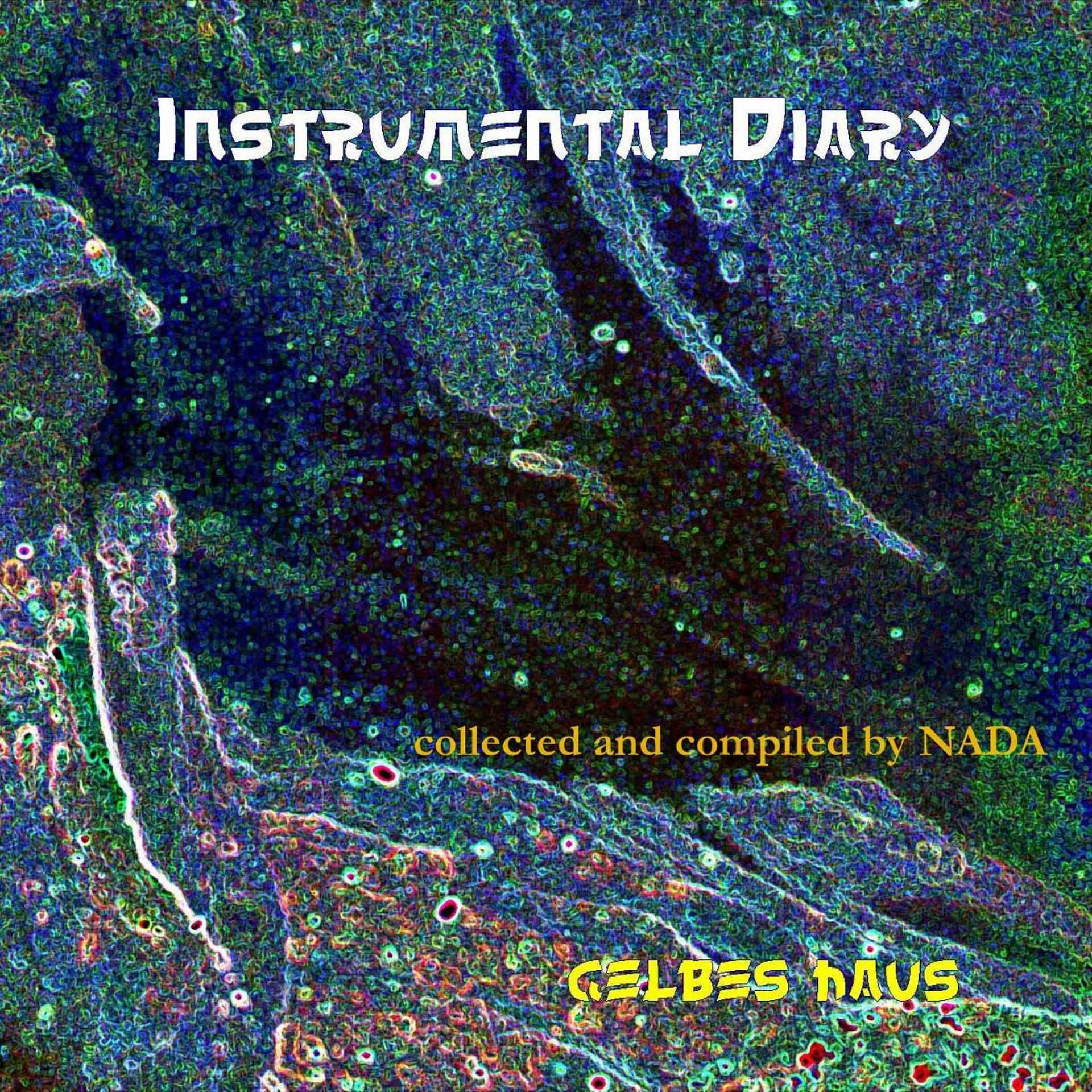 Постер альбома Instrumental Diary