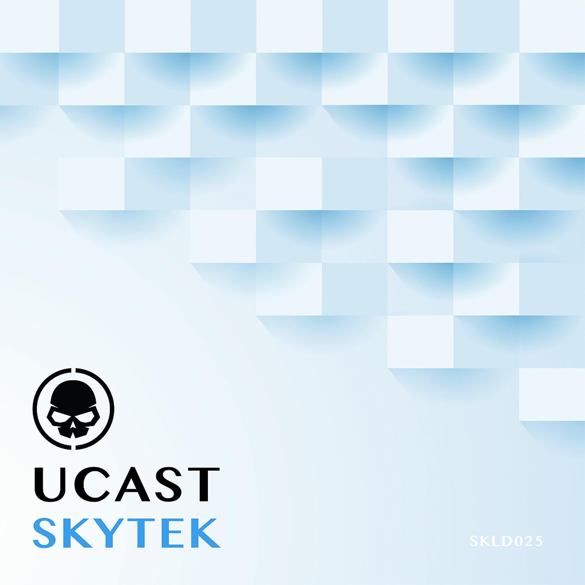 Постер альбома Skytek