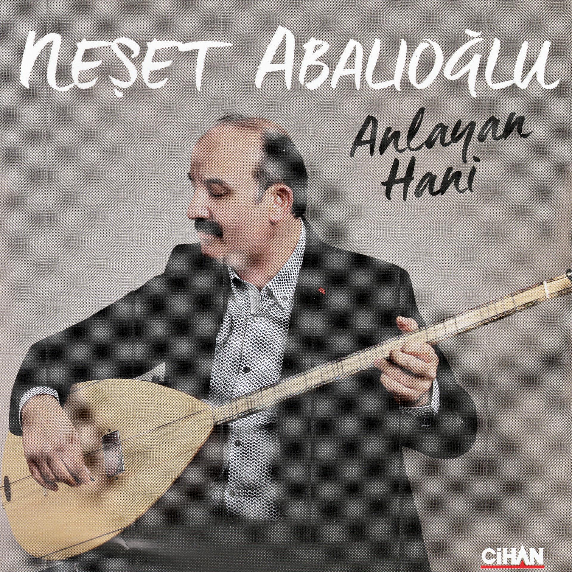 Постер альбома Anlayan Hani