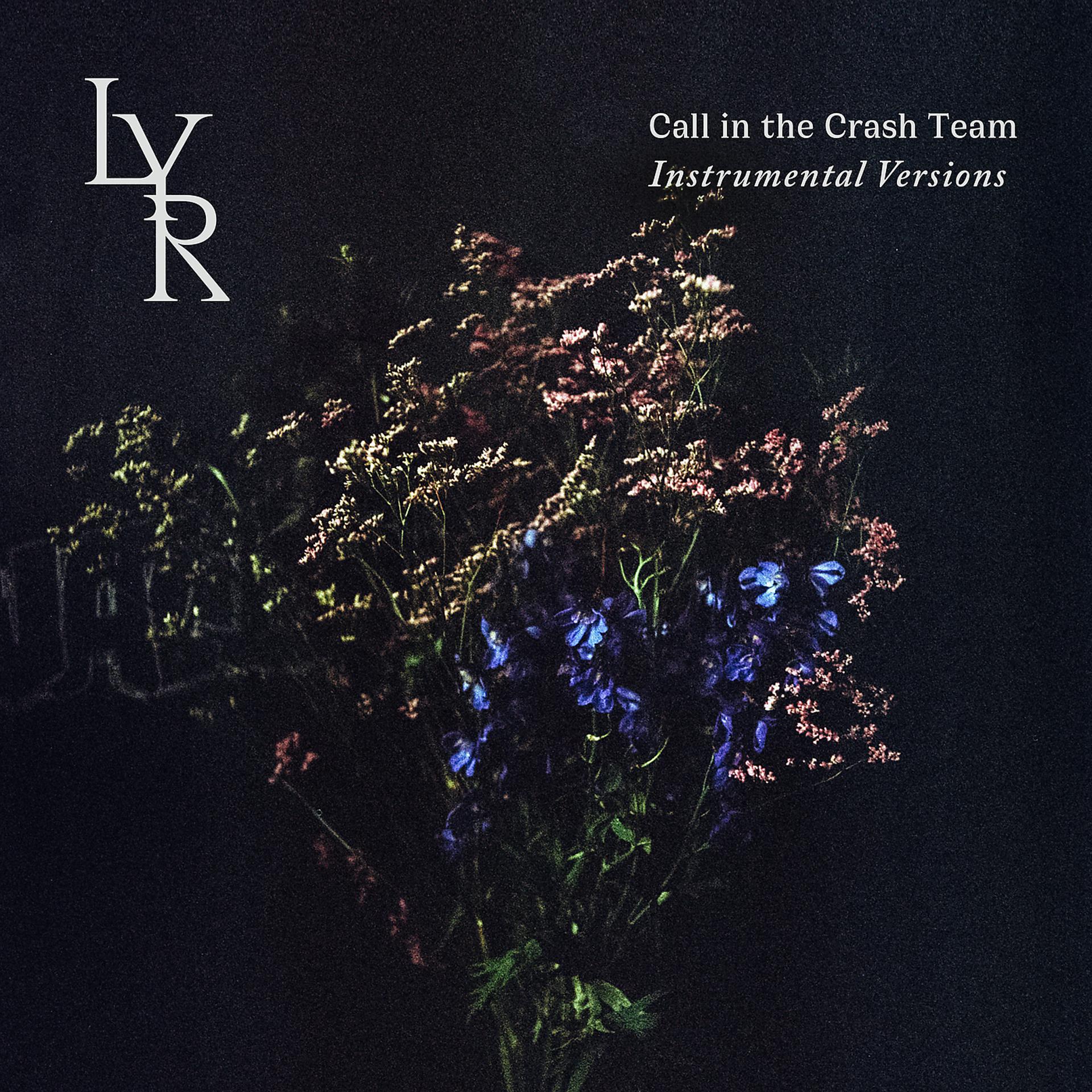 Постер альбома Call in the Crash Team