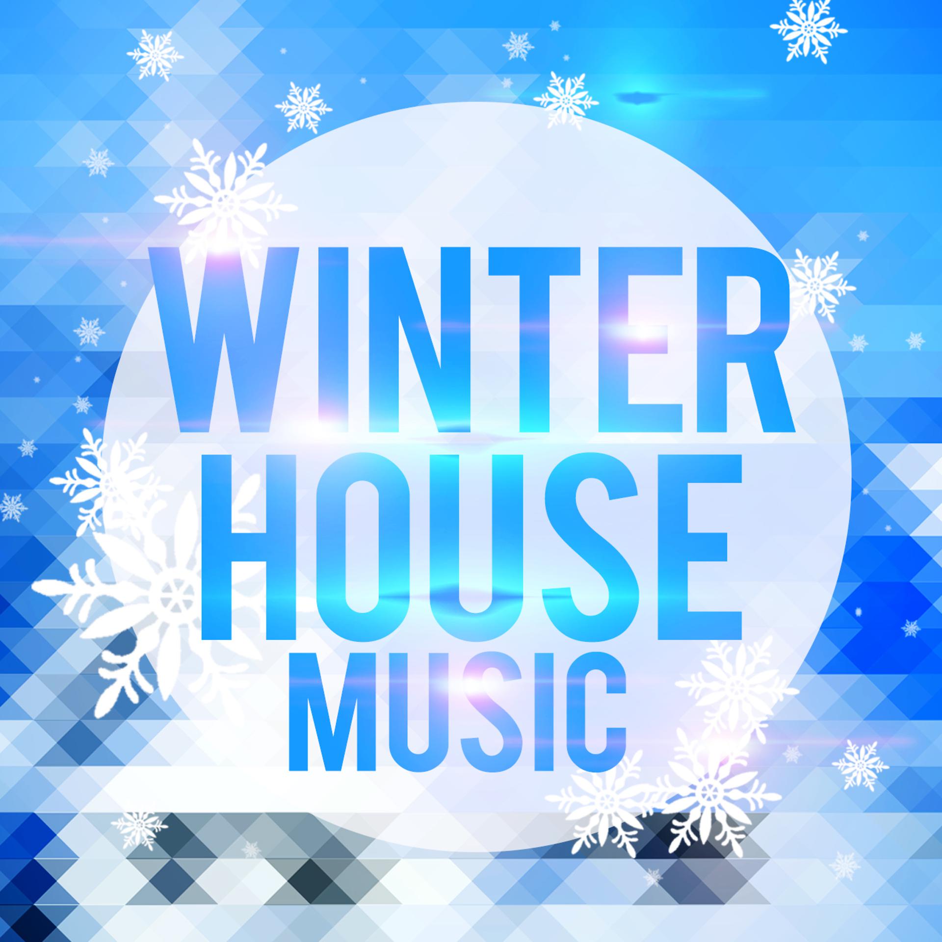 Постер альбома Winter House Music