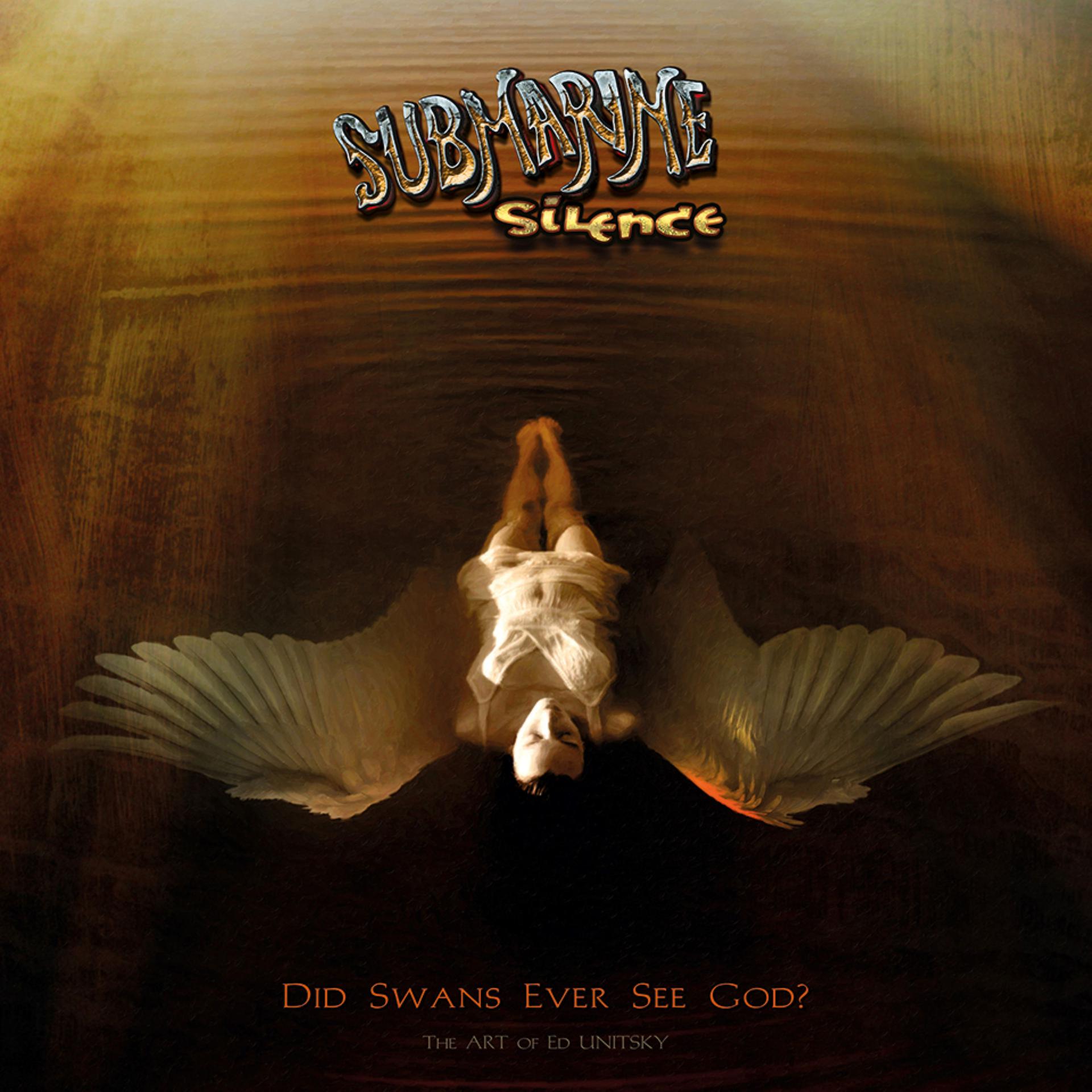 Постер альбома Did Swans Ever See God?