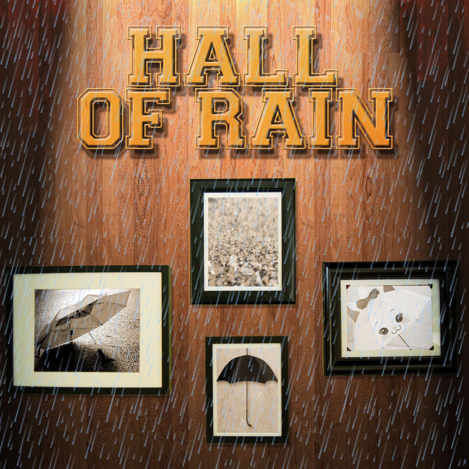 Постер альбома Hall of Rain