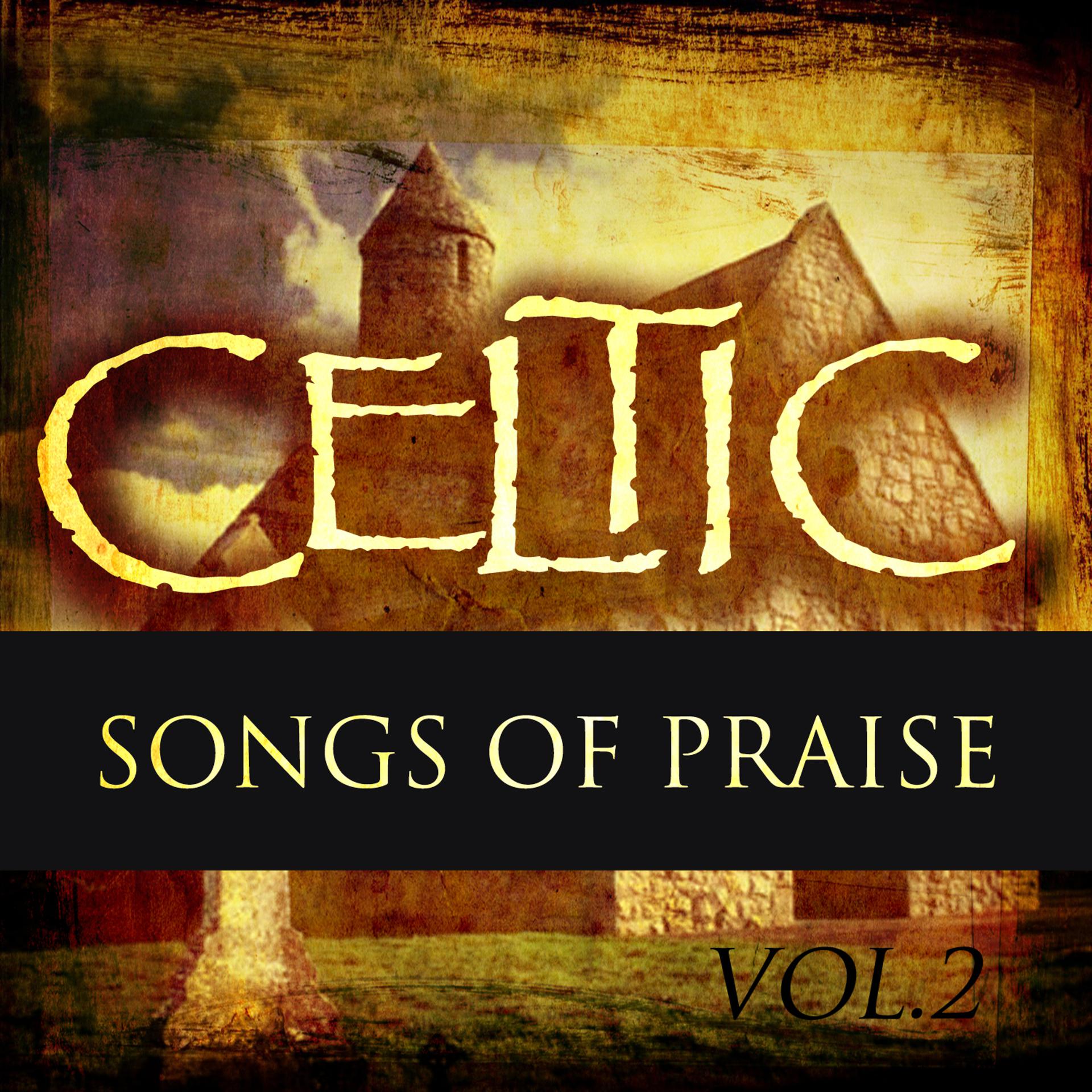 Постер альбома Celtic Praise Vol 2