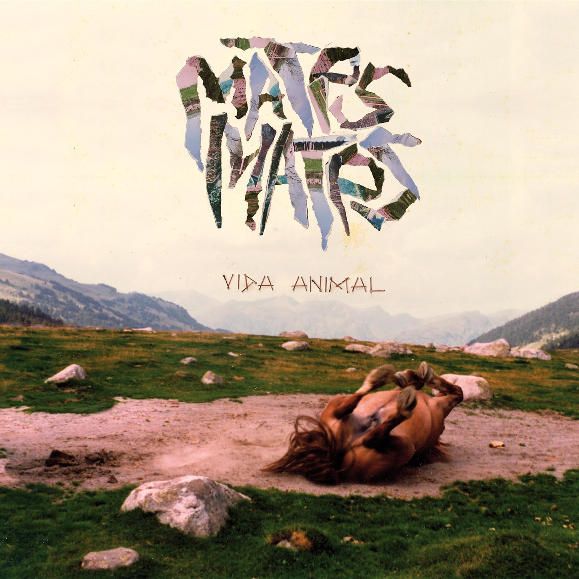 Постер альбома Vida Animal
