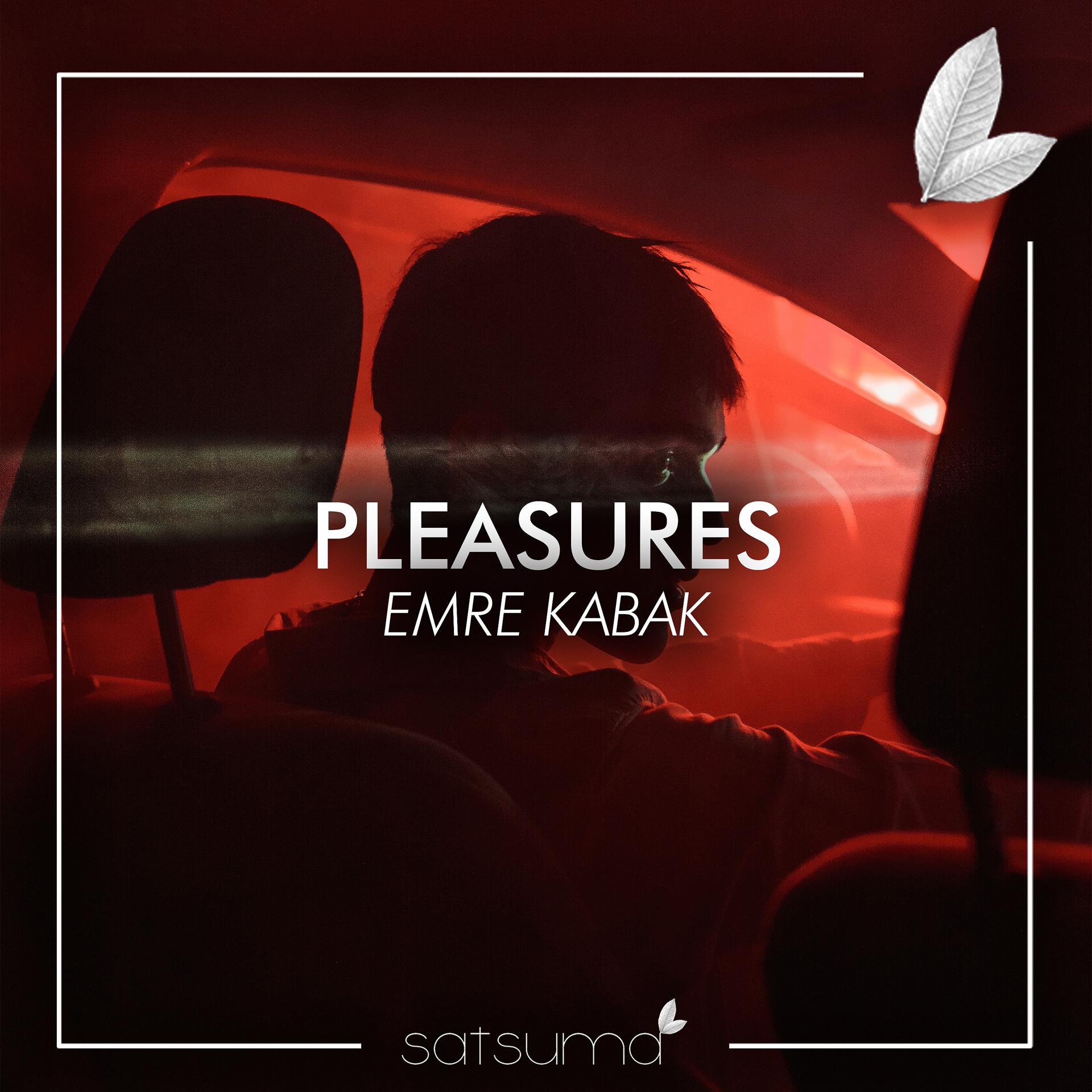 Постер альбома Pleasures (Instrumental)