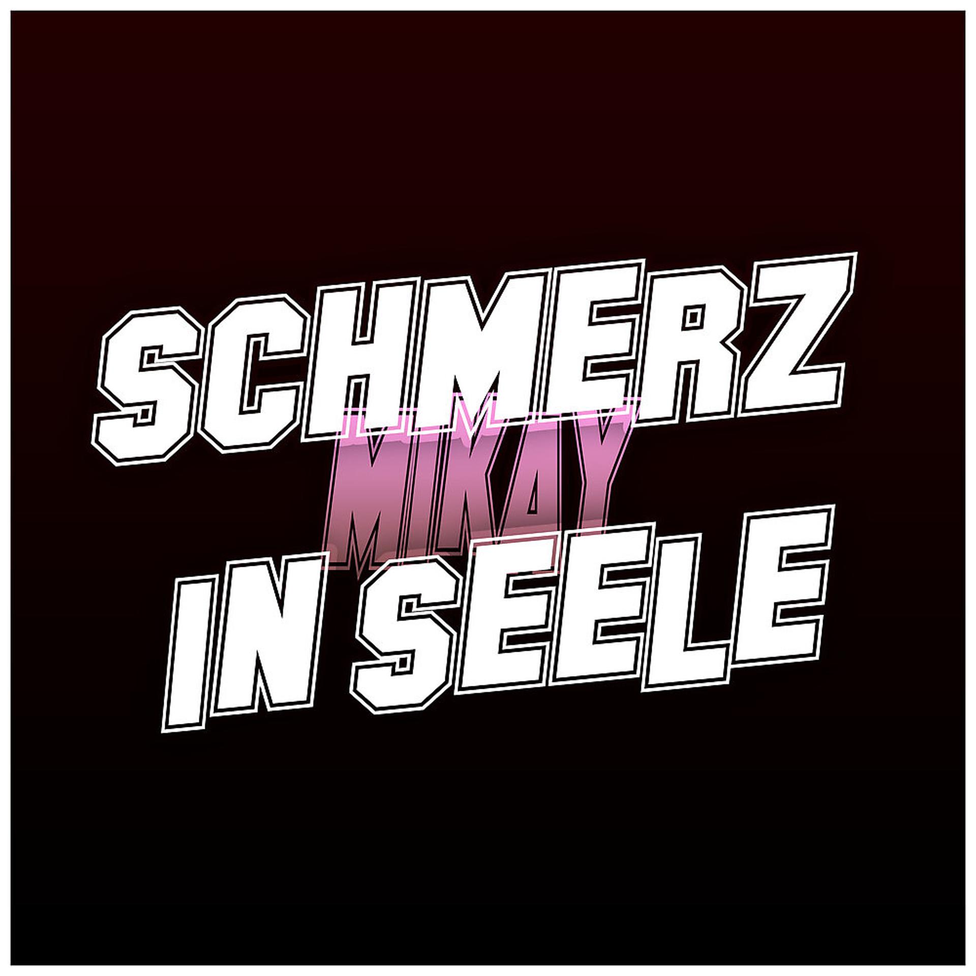 Постер альбома Schmerz in Seele