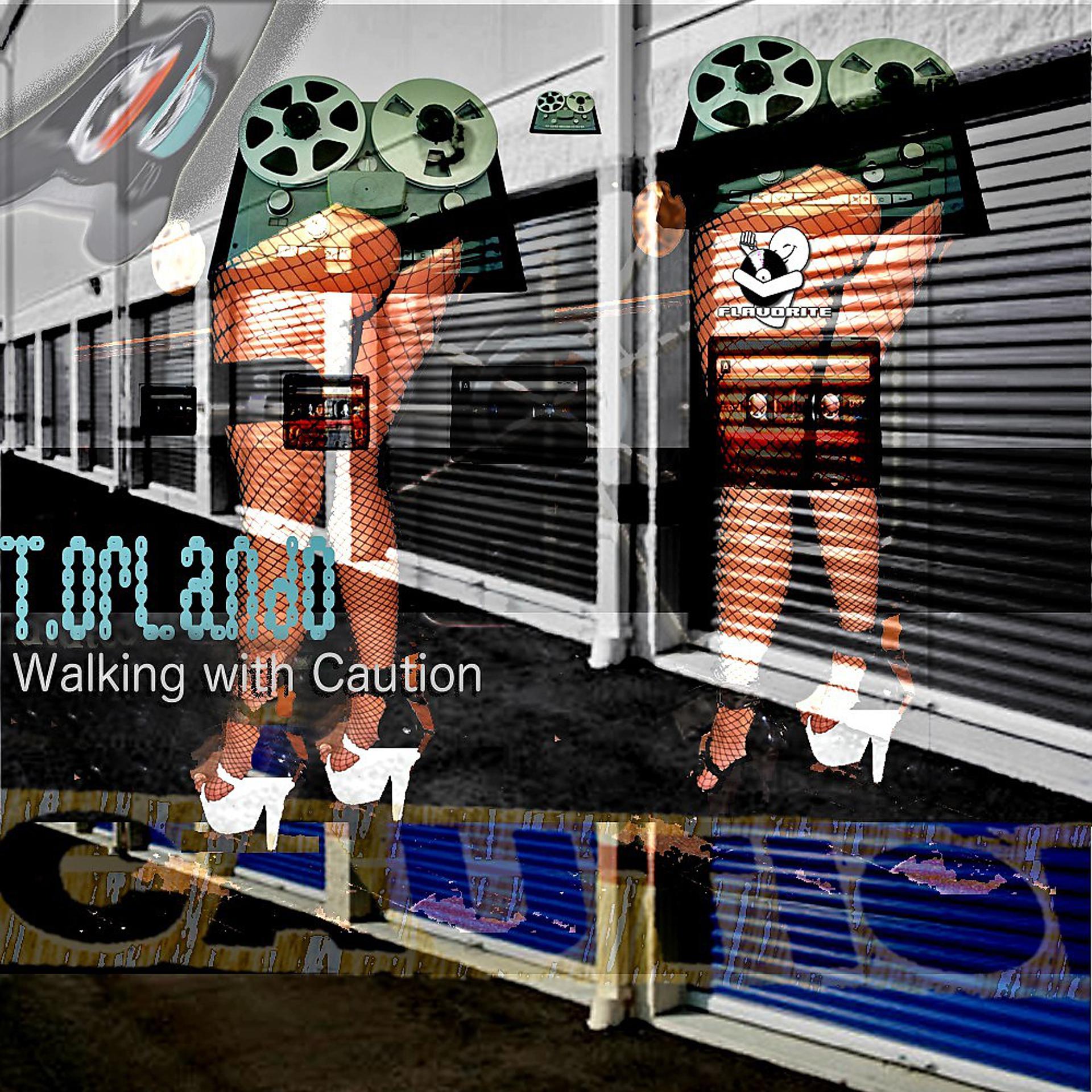 Постер альбома Walking with Caution