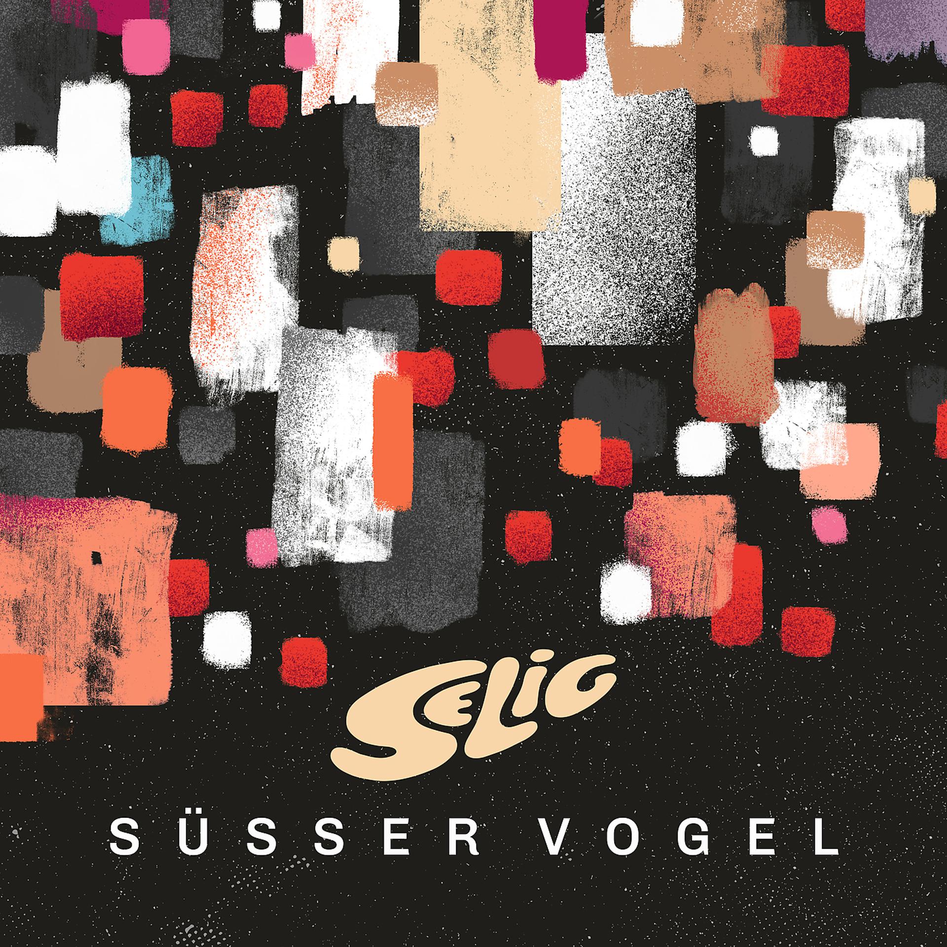 Постер альбома Süßer Vogel
