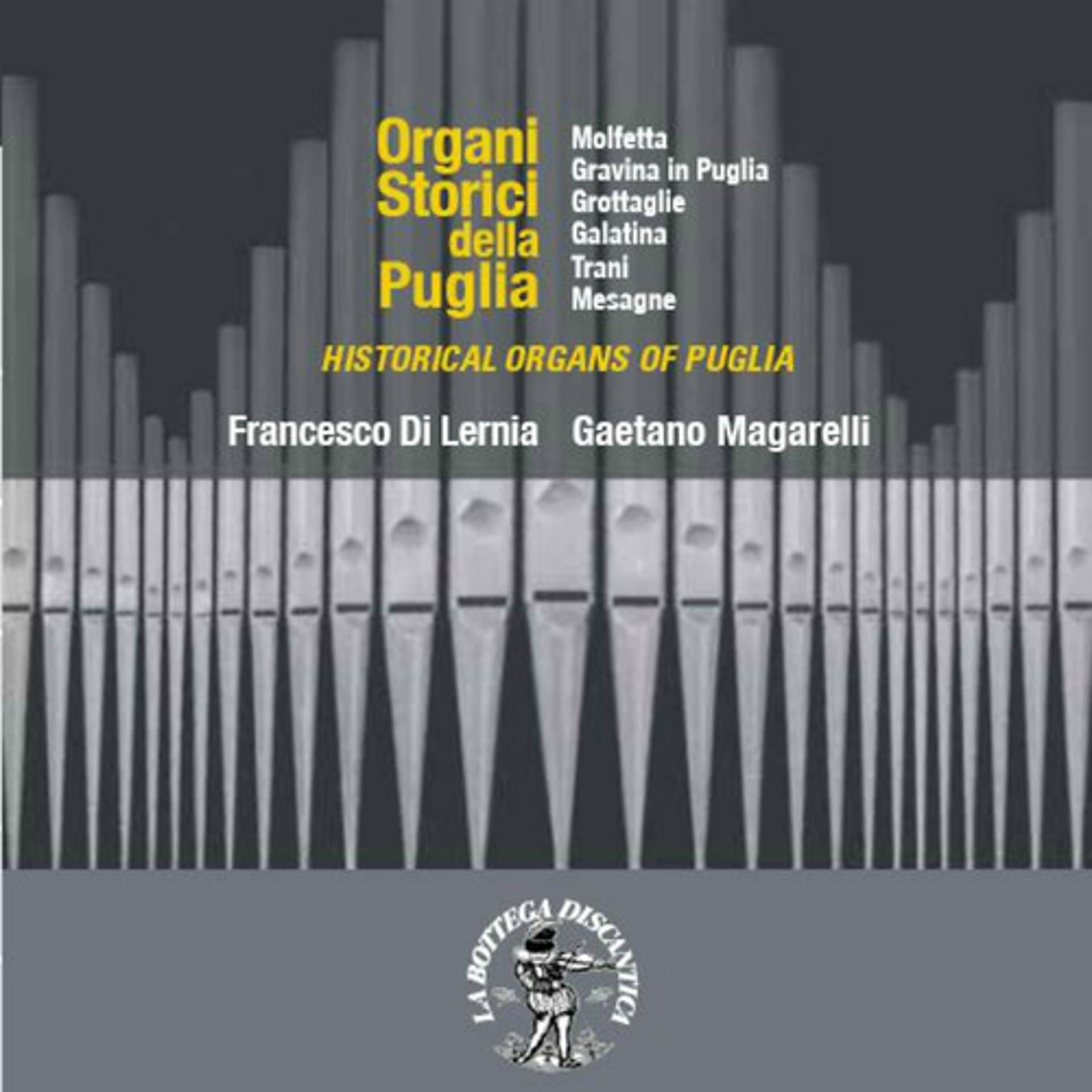 Постер альбома Historical Organs of Puglia: Grottaglie, Collegiata Maria SS. Annunziata, Organo Anonimo, XVI sec.