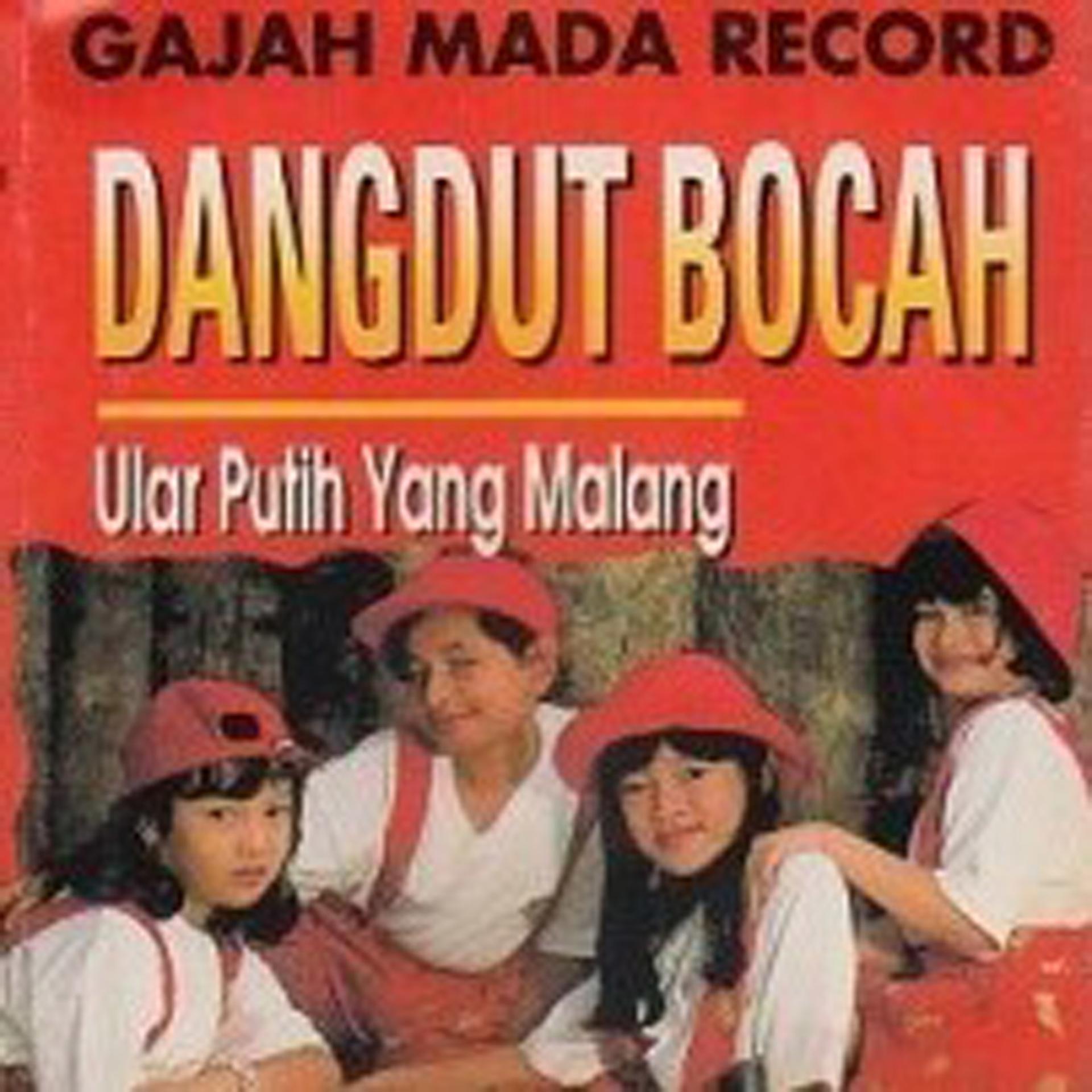 Постер альбома Dangdut Bocah