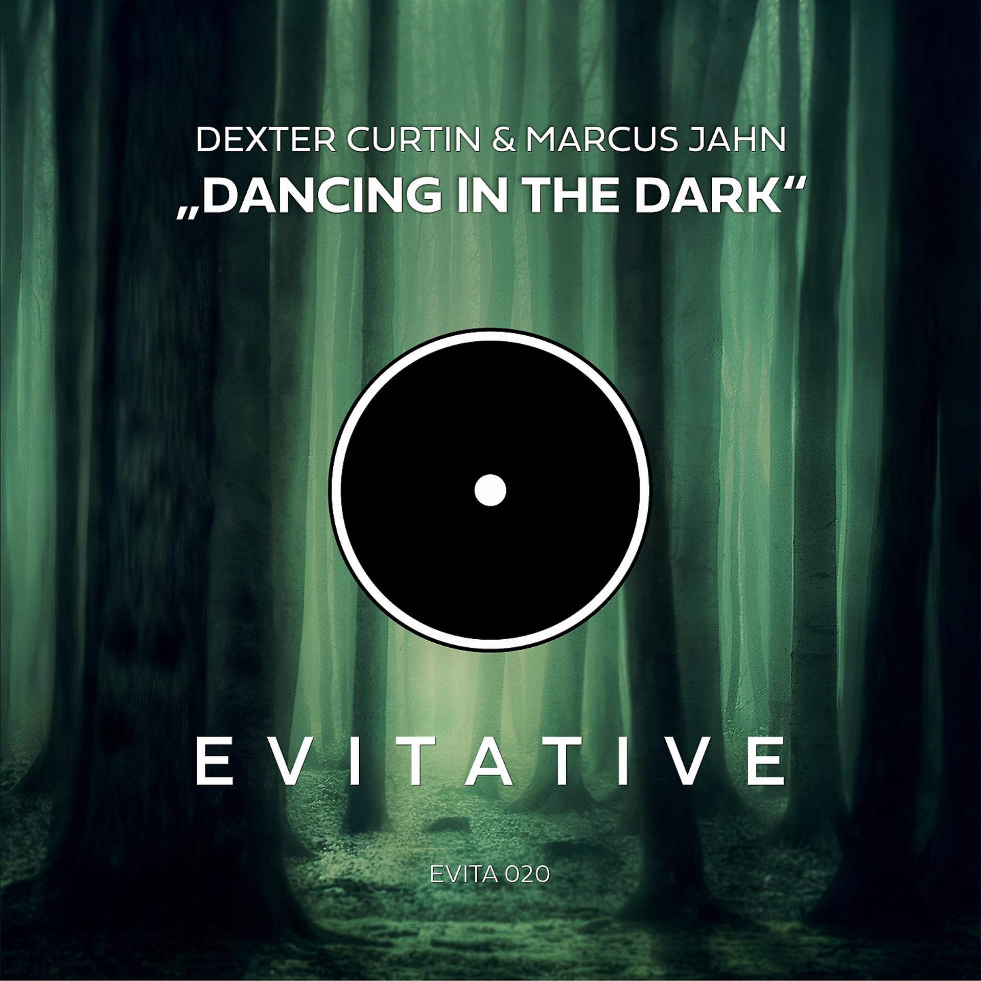Постер альбома Dancing In The Dark