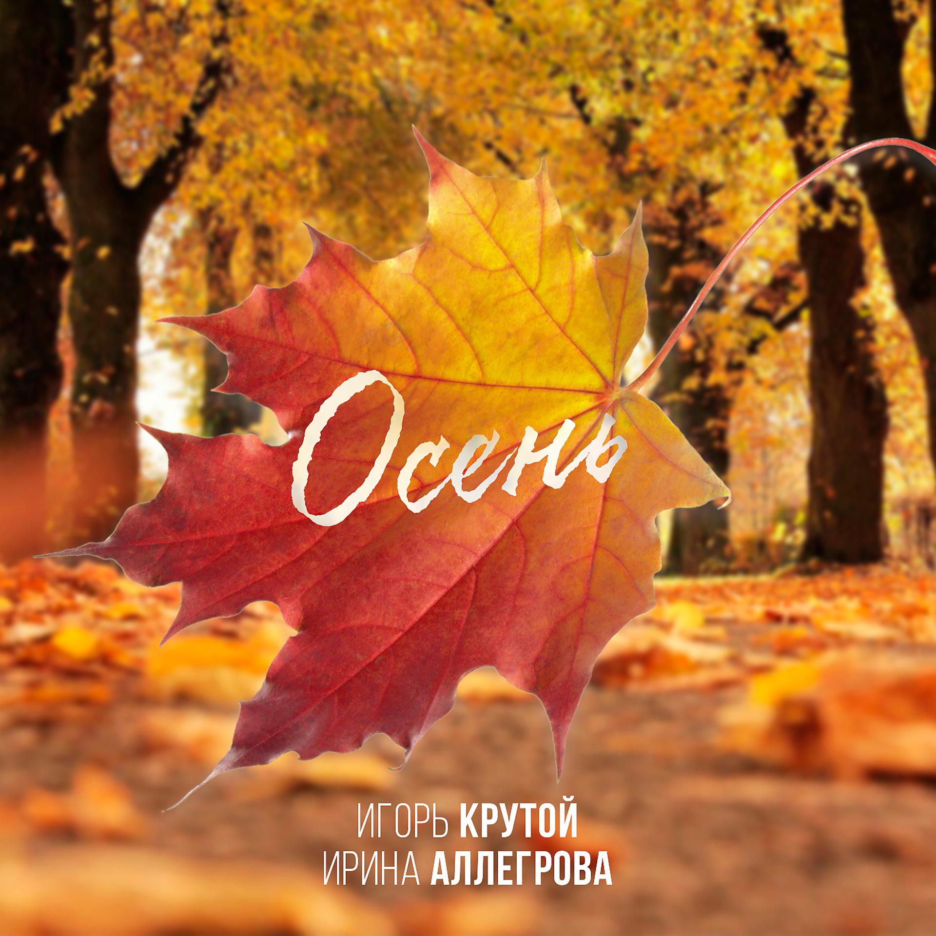 Постер к треку Ирина Аллегрова, Игорь Крутой - Осень
