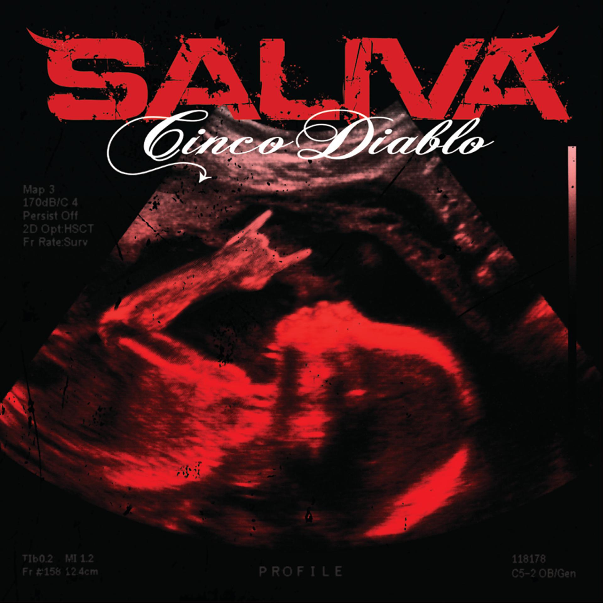 Постер альбома Cinco Diablo
