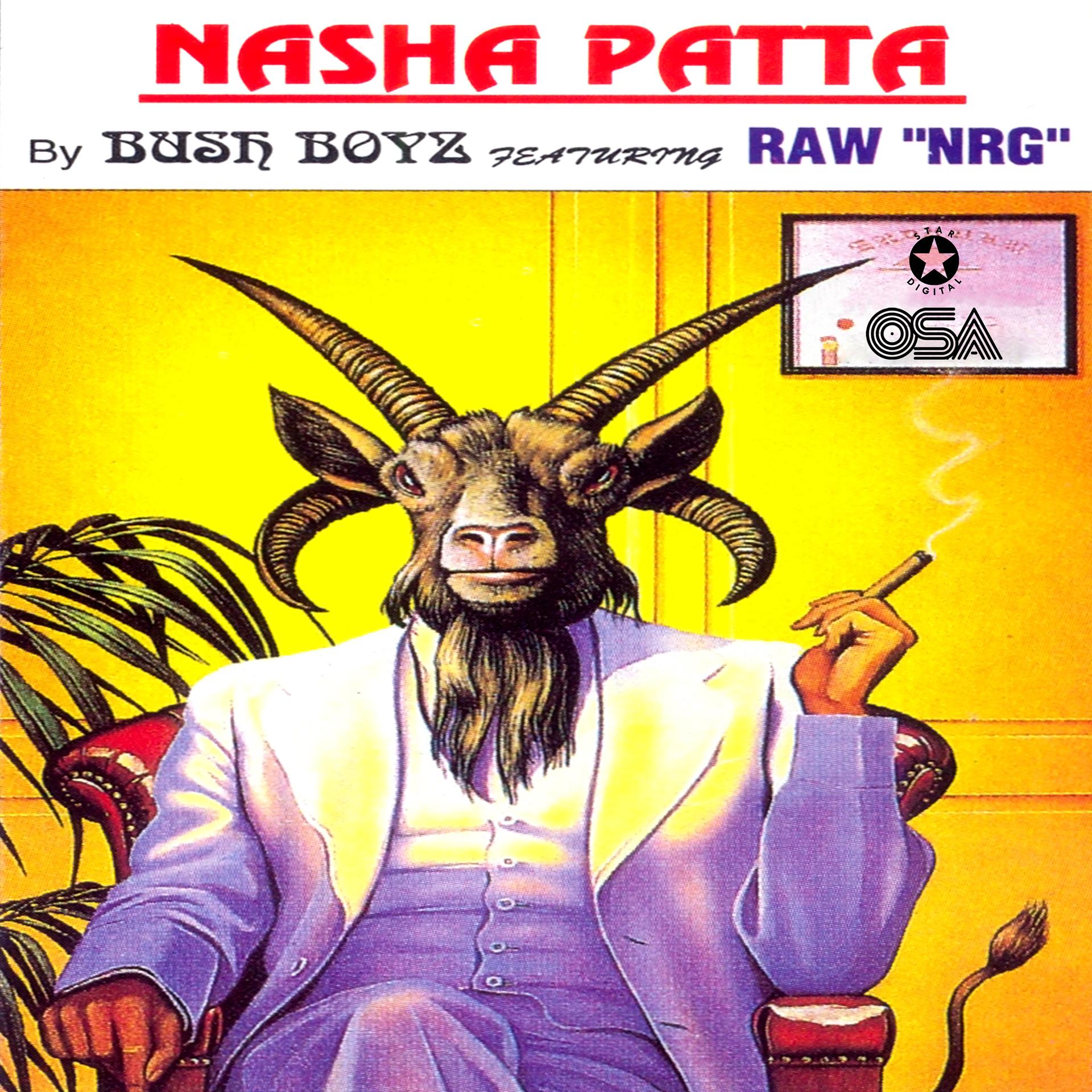 Постер альбома Nasha Patta