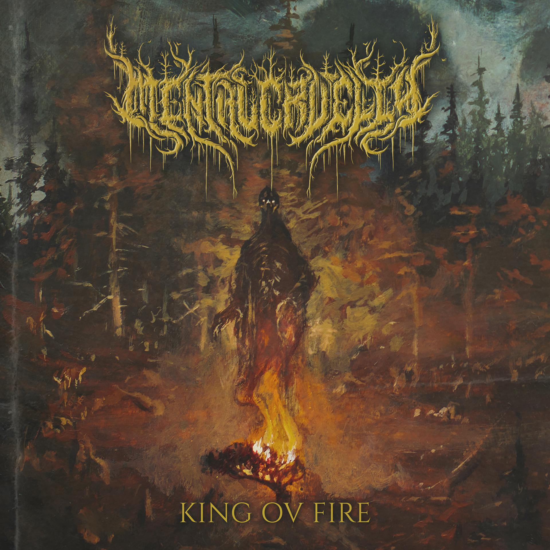 Постер альбома King Ov Fire