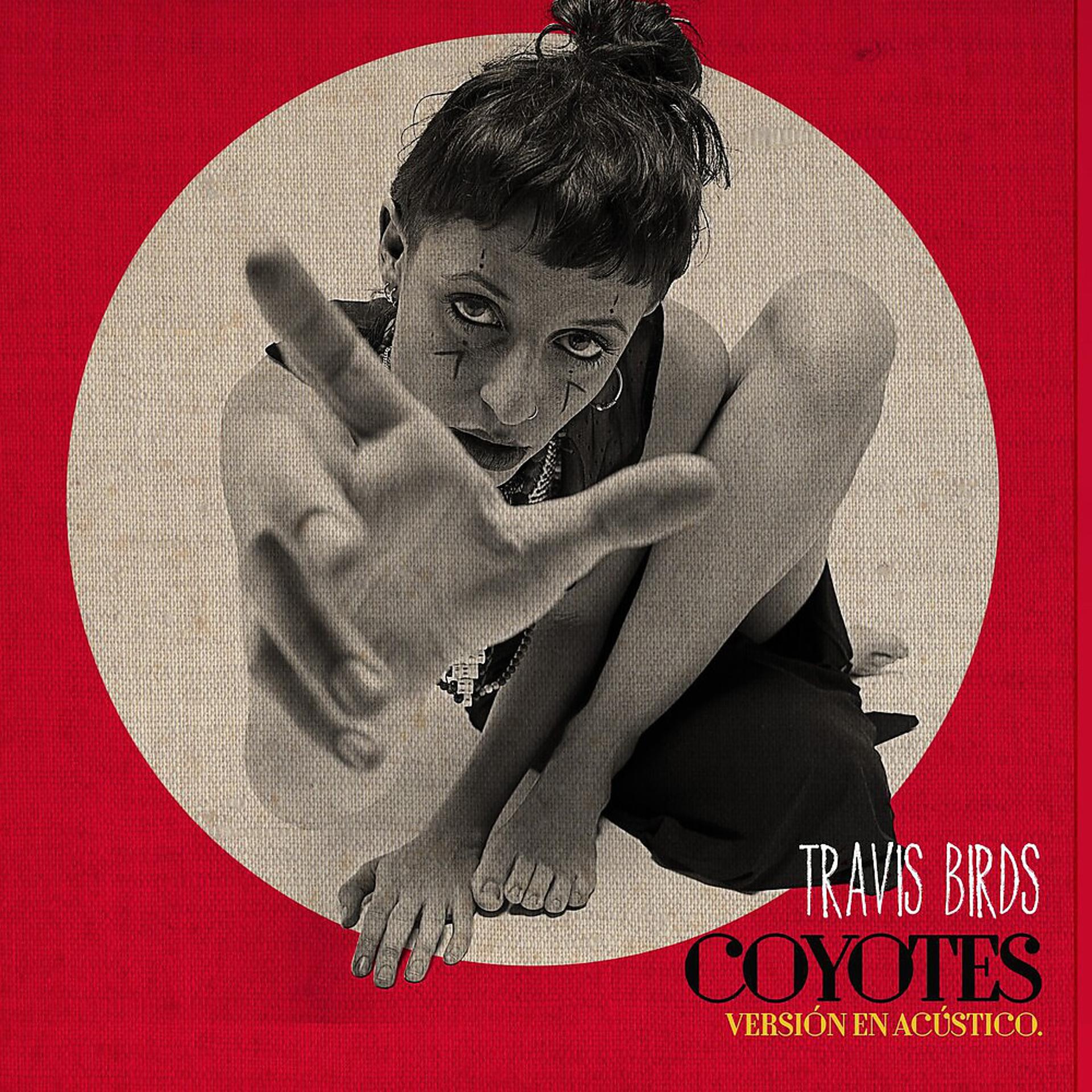 Постер альбома Coyotes