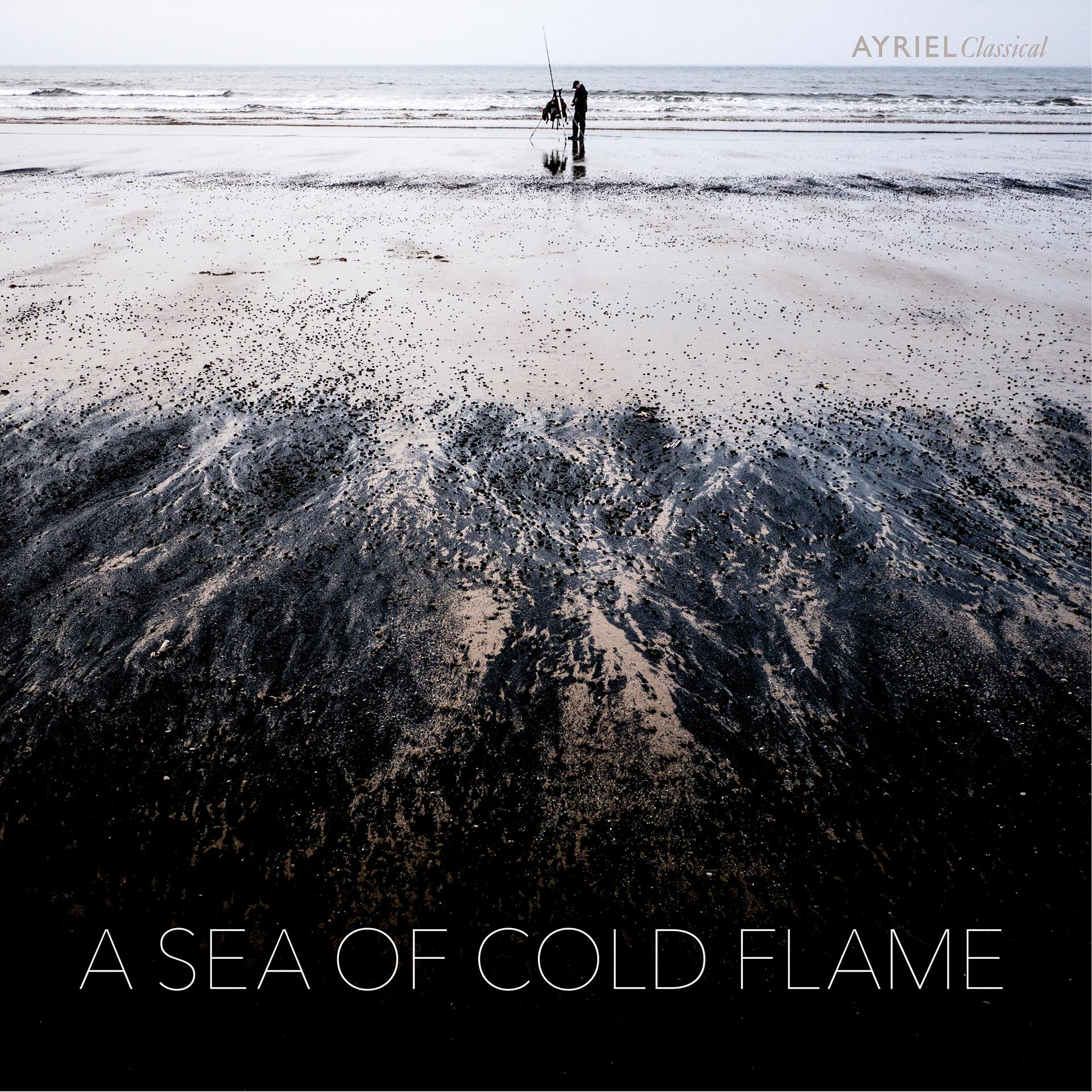 Постер альбома A Sea of Cold Flame