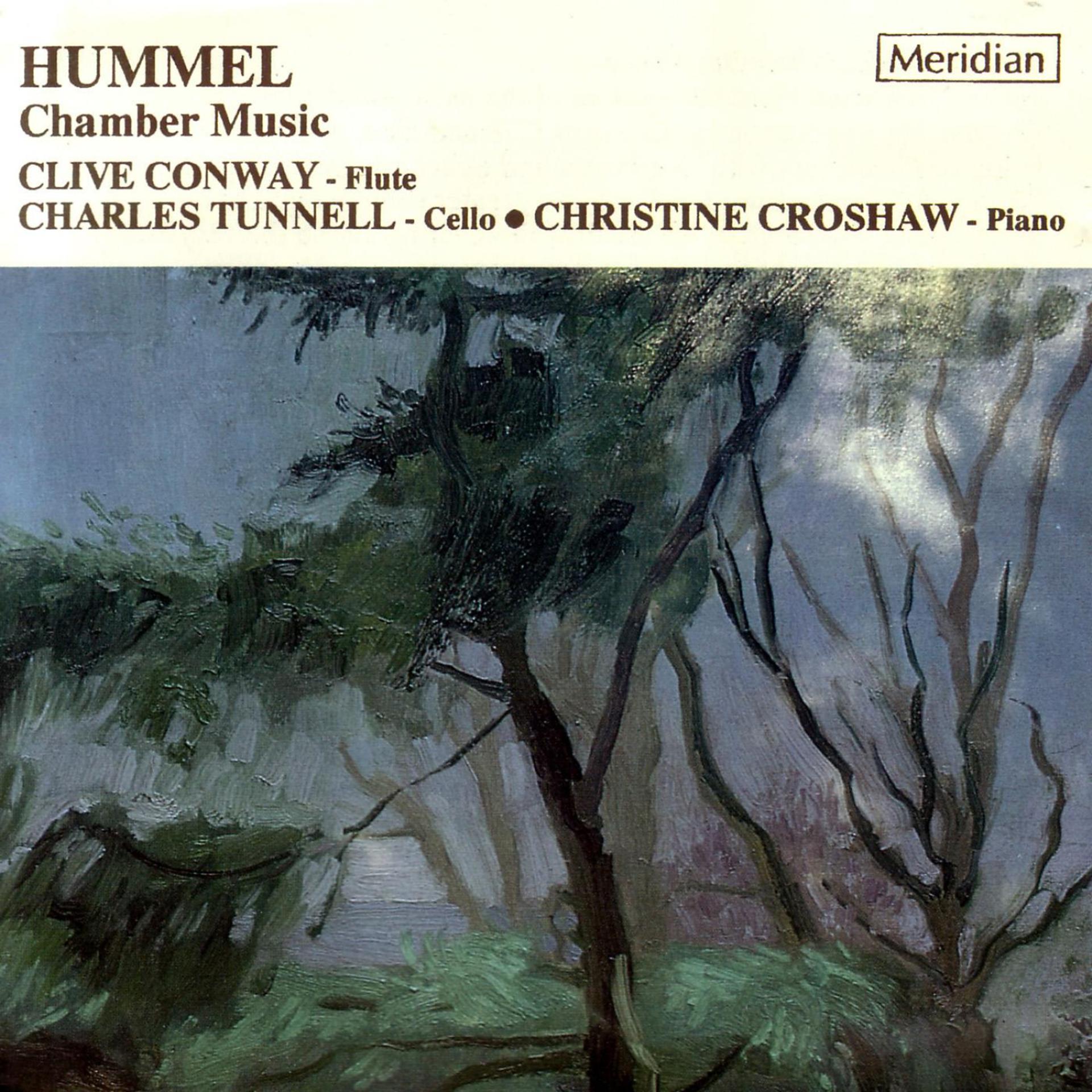 Постер альбома Hummel: Chamber Music