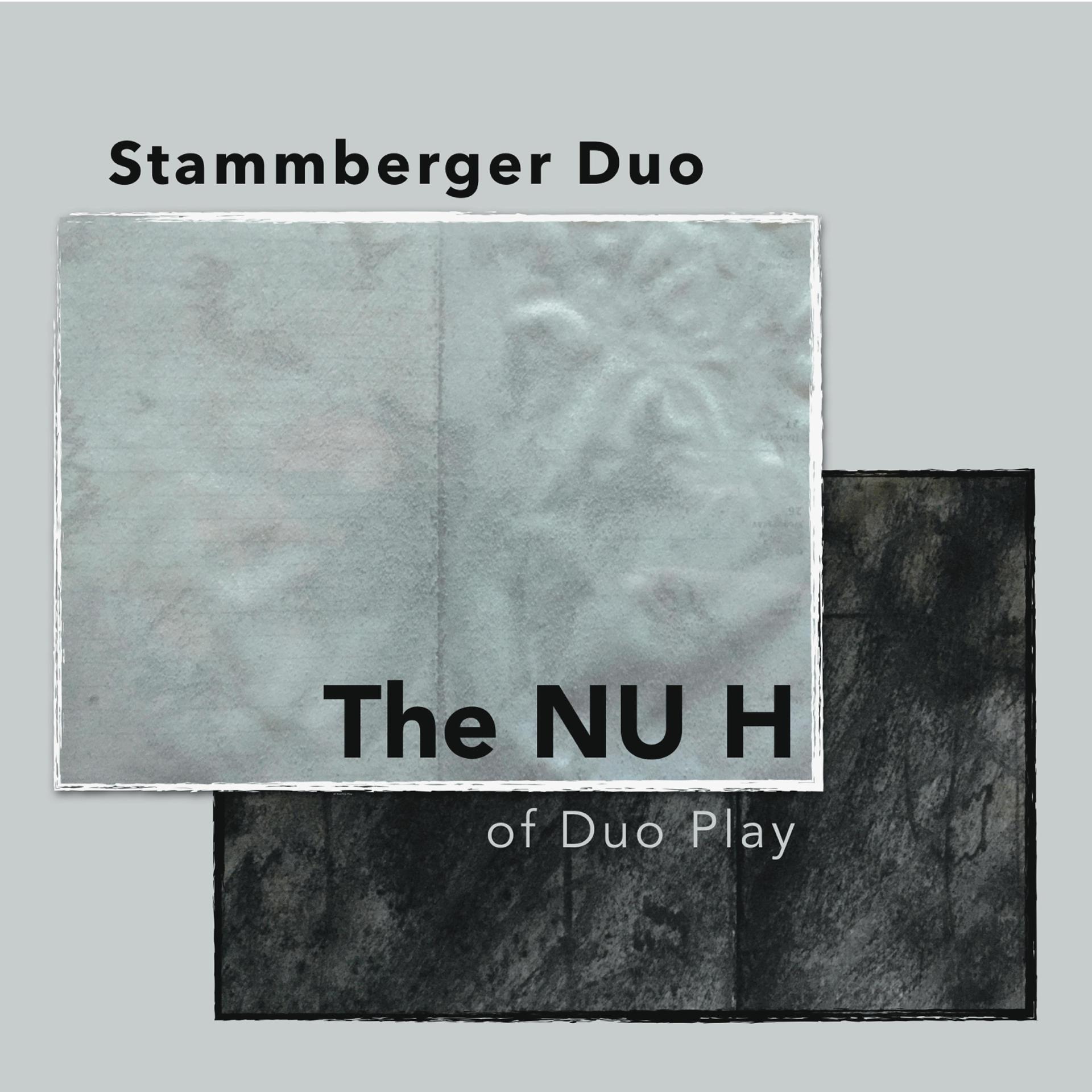 Постер альбома The Nu H of Duo Play