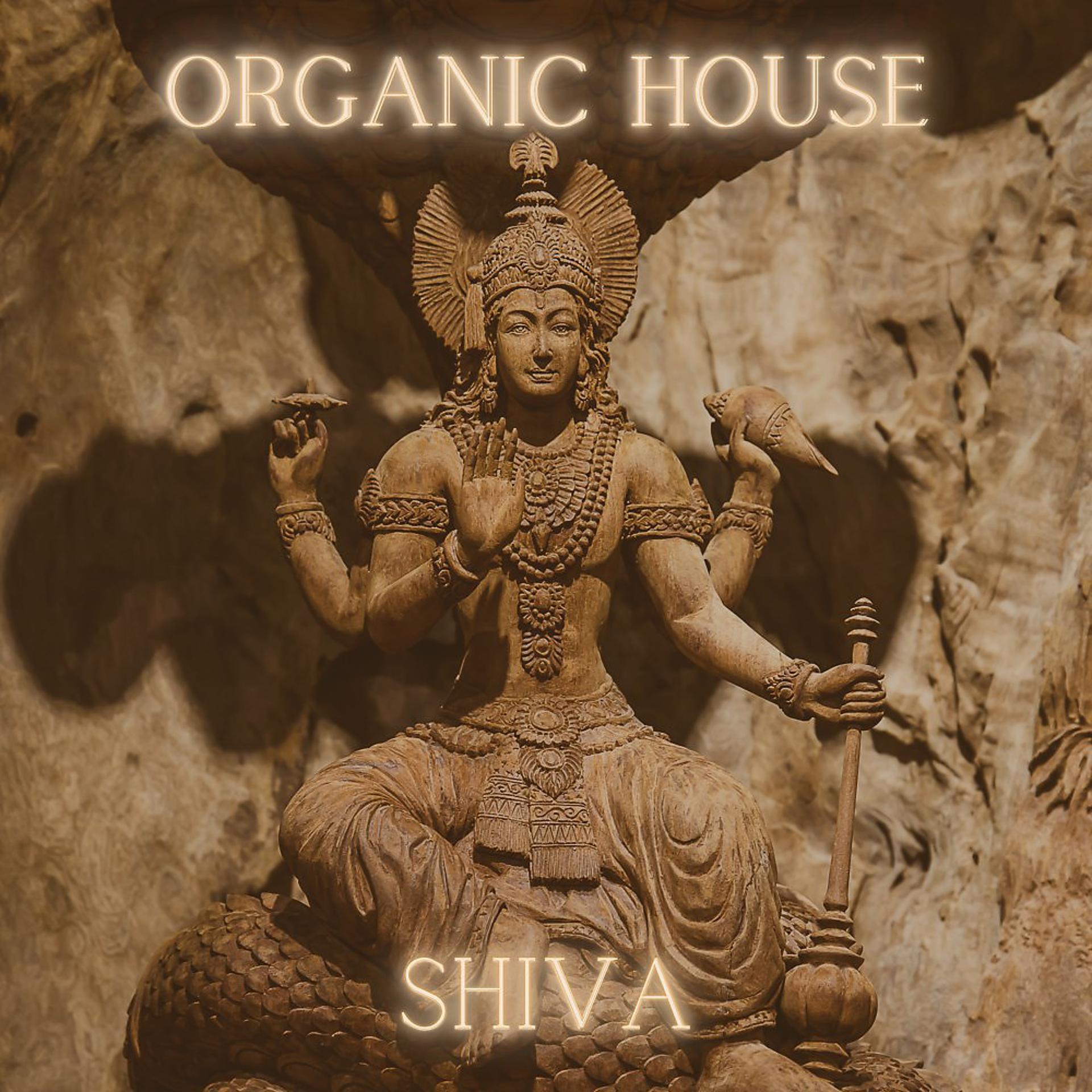 Постер альбома Organic House - Shiva