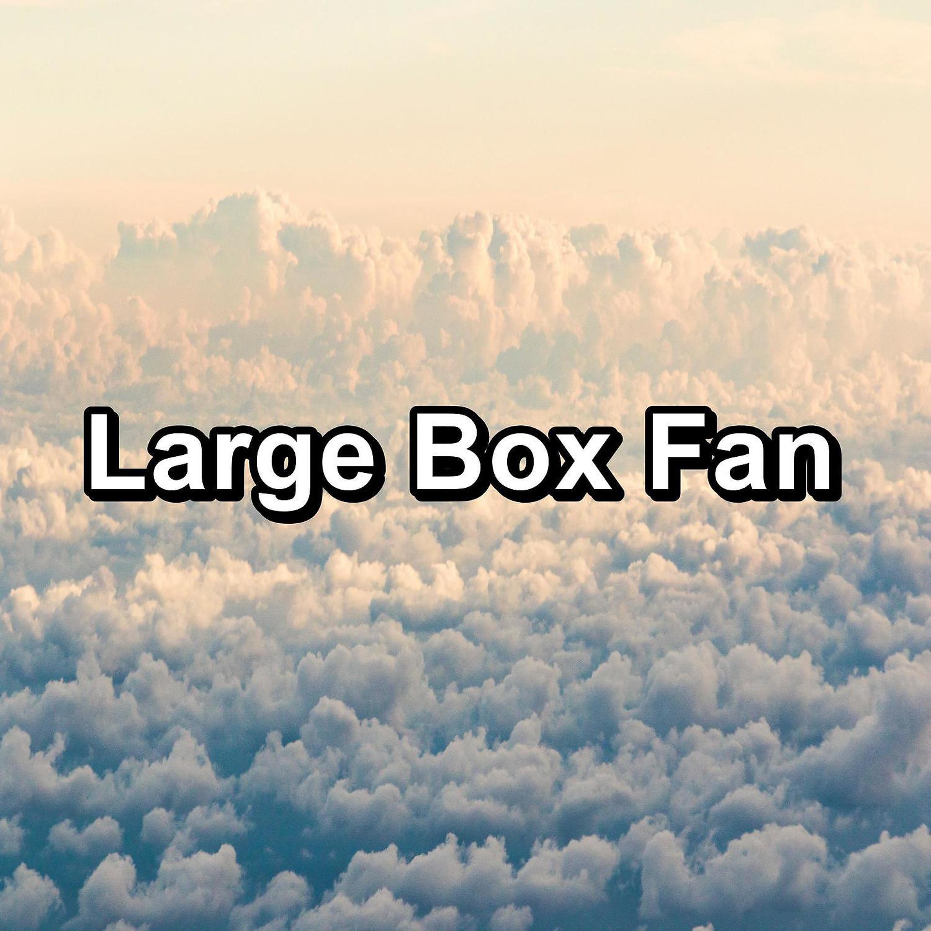 Постер альбома Large Box Fan