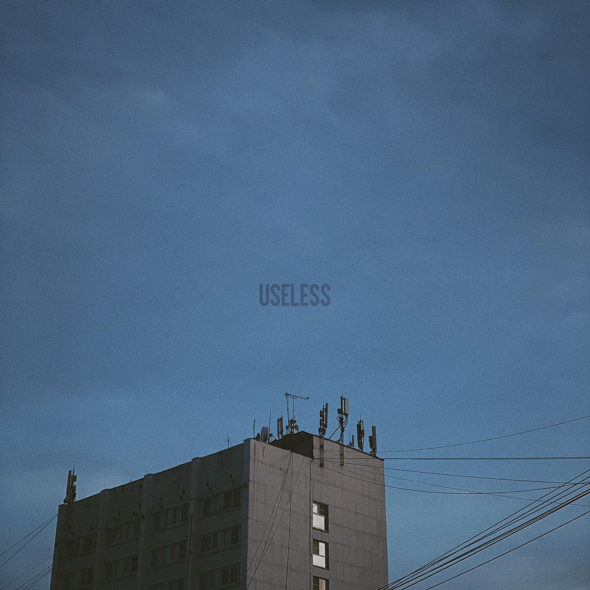 Постер альбома Useless