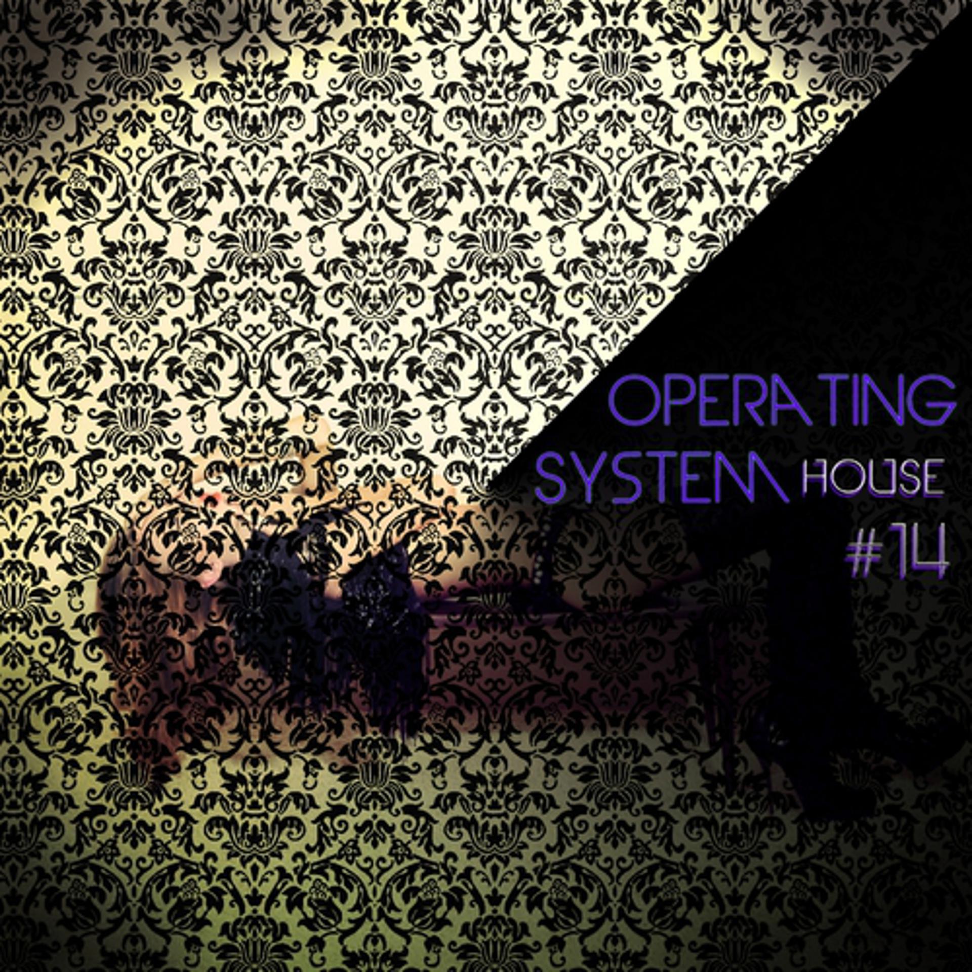 Постер альбома Operating System House, Vol. 14
