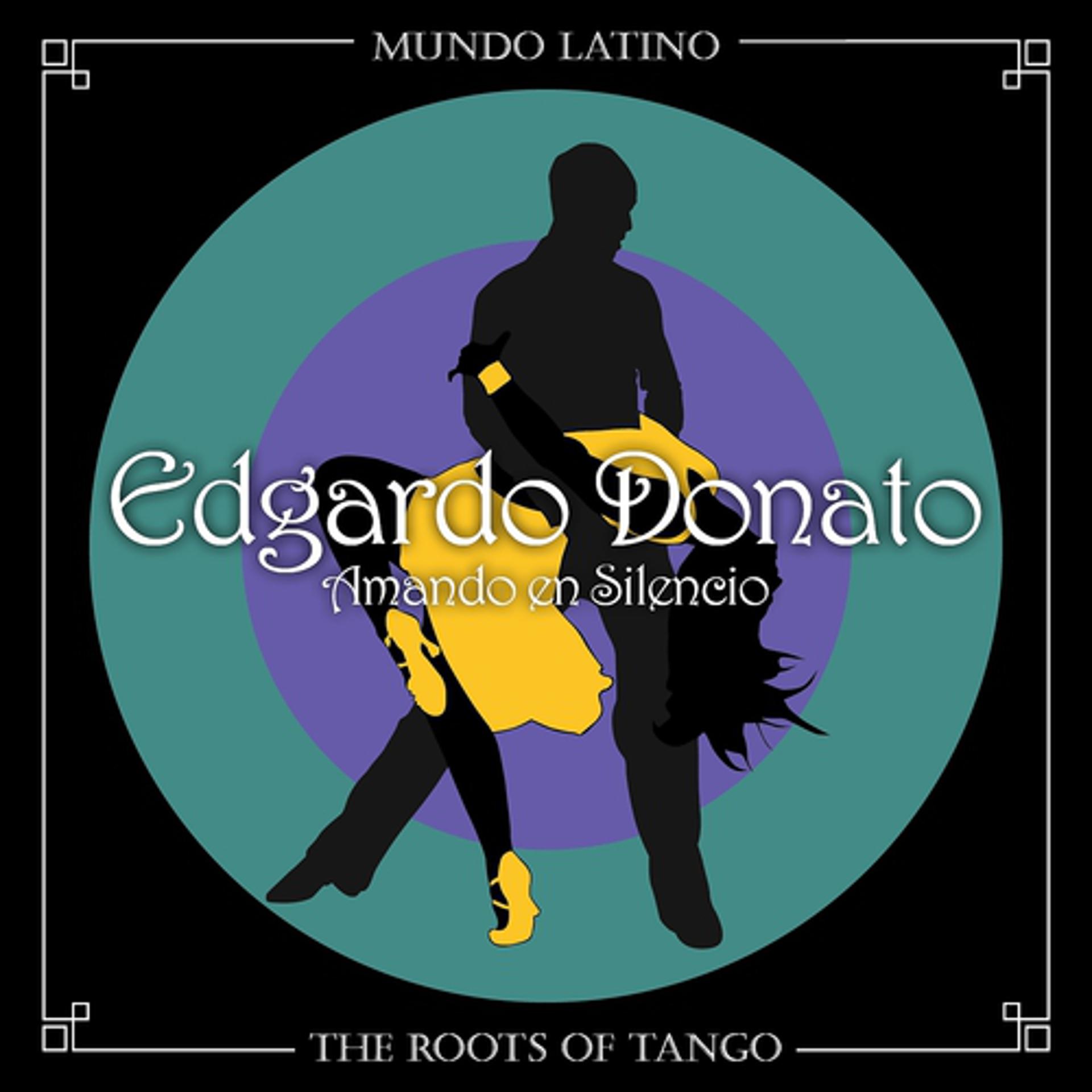 Постер альбома The Roots of Tango - Amando en Silencio