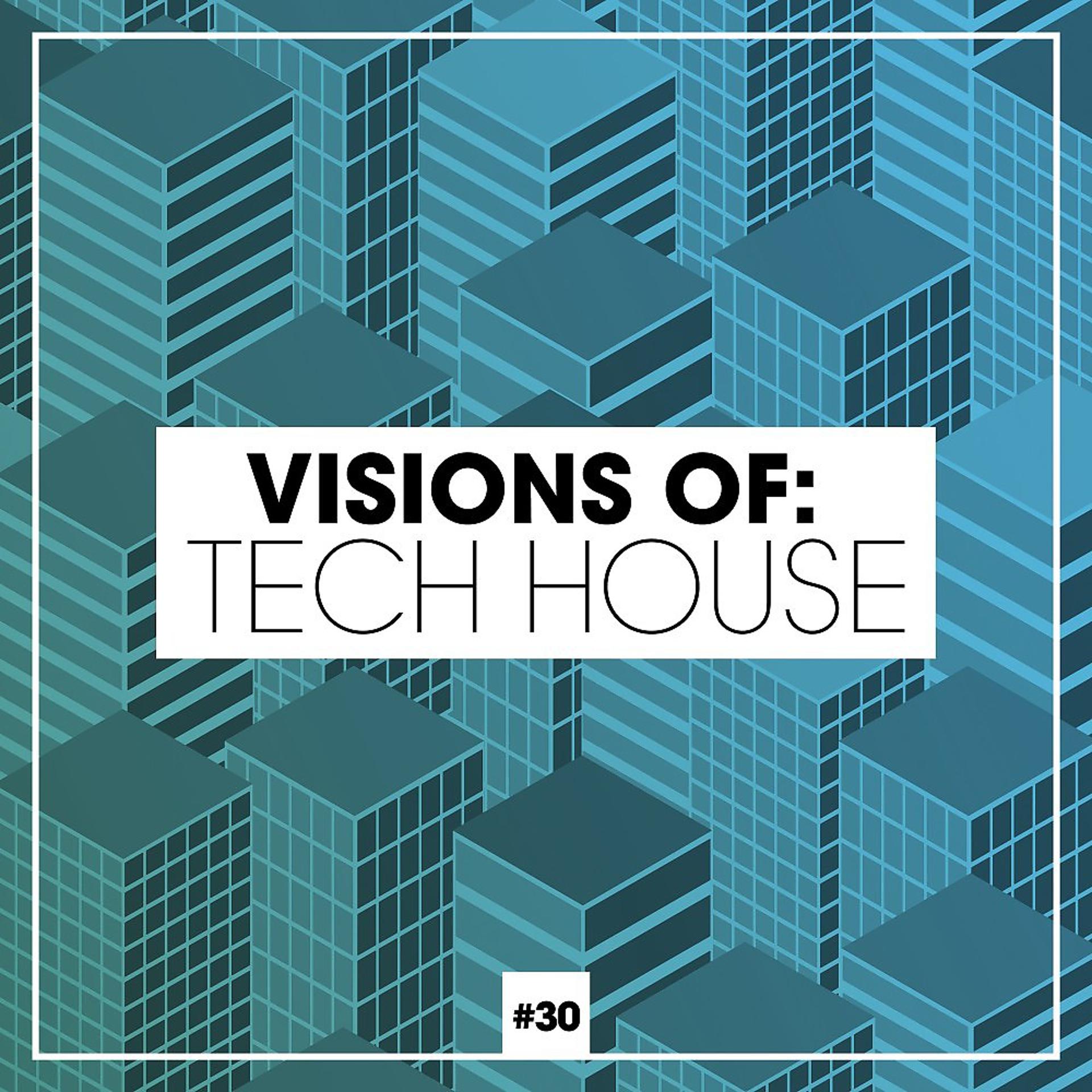 Постер альбома Visions of: Tech House, Vol. 30