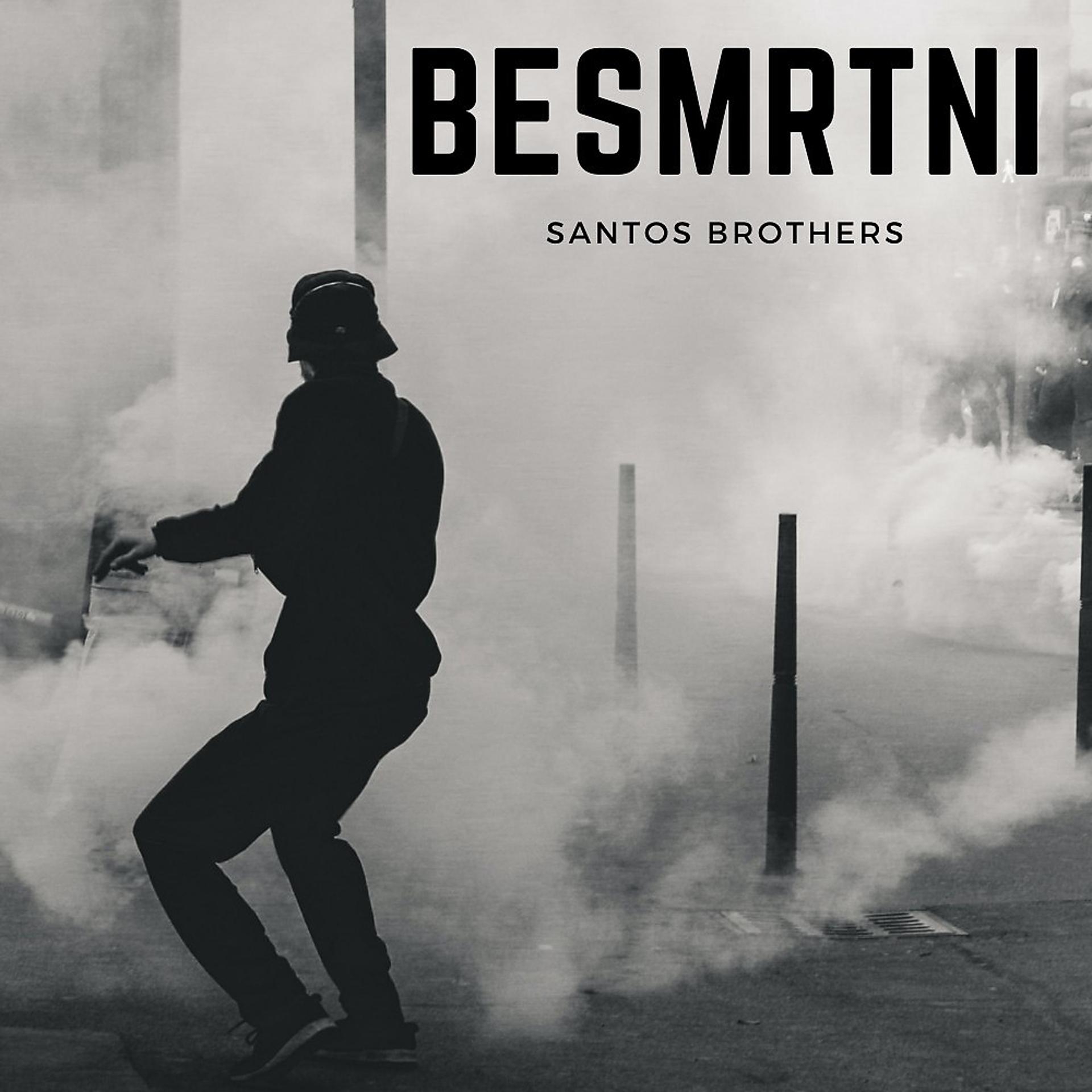 Постер альбома Besmrtni