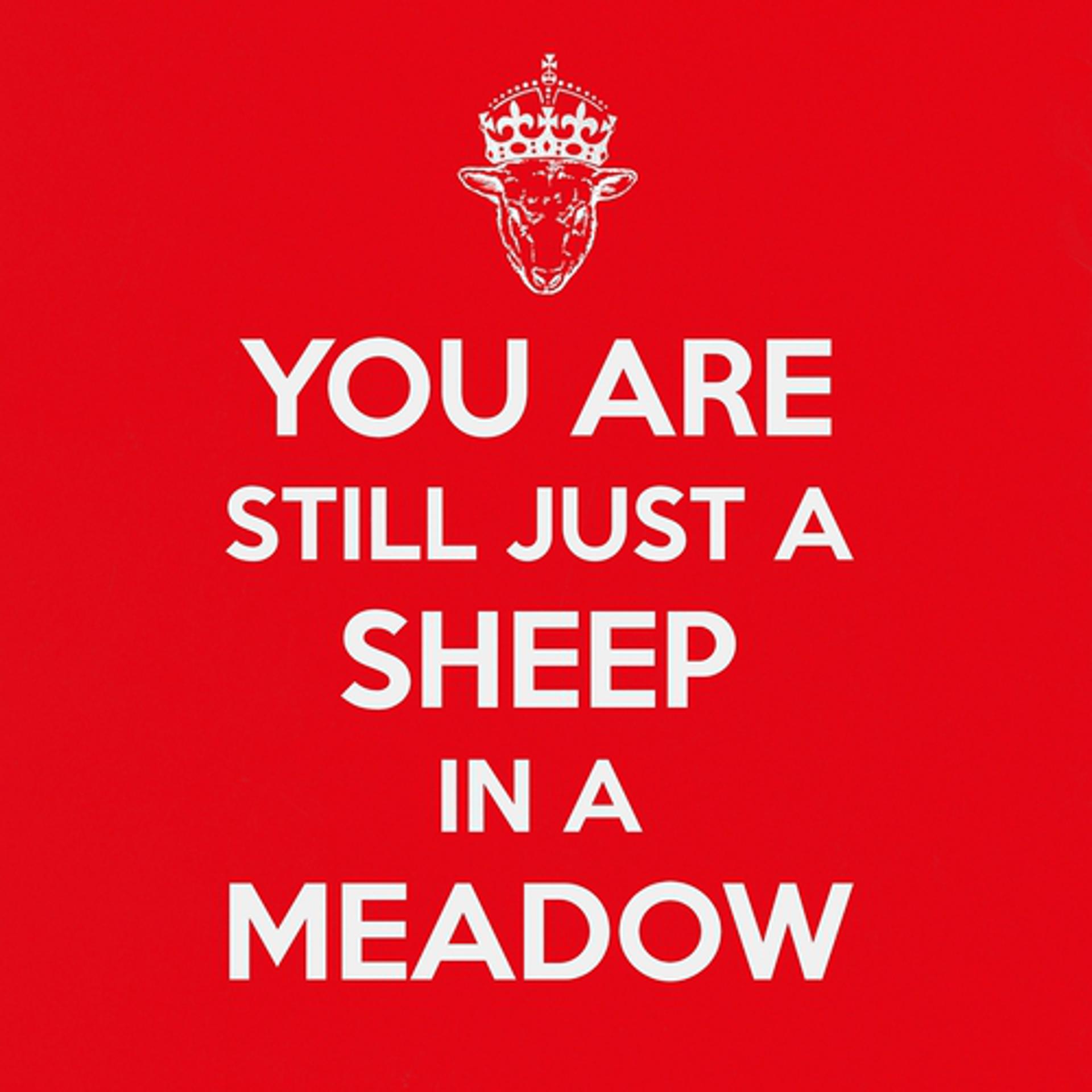 Постер альбома You Are Still Just a Sheep in a Meadow