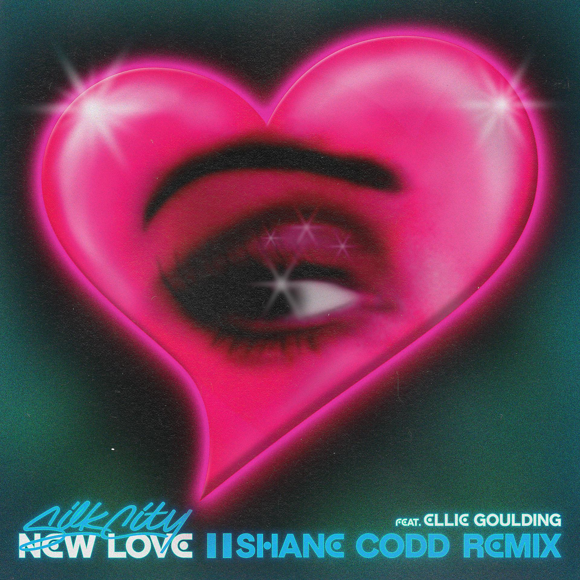 Постер альбома New Love (Shane Codd Remix)