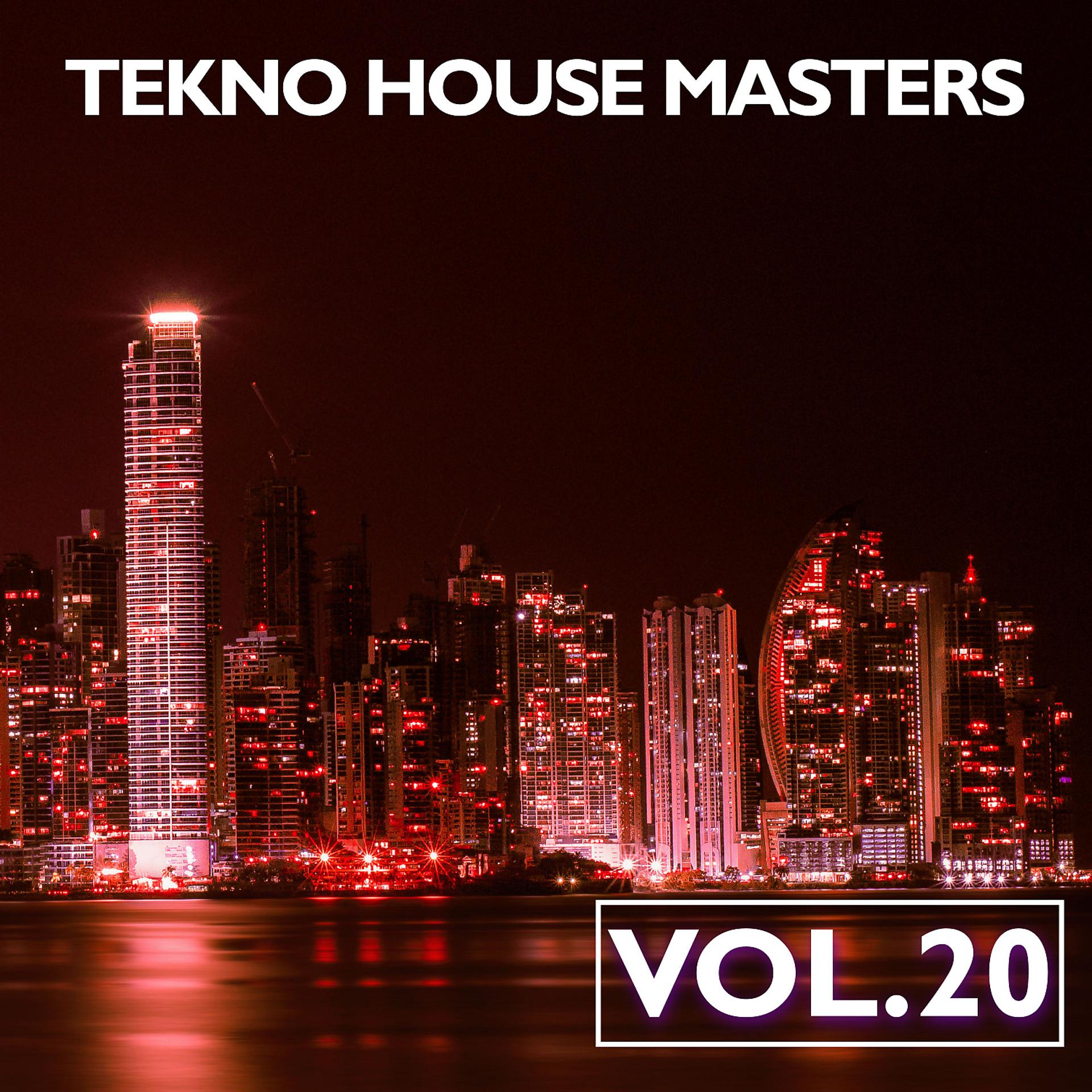 Постер альбома Tekno House Masters, Vol. 20