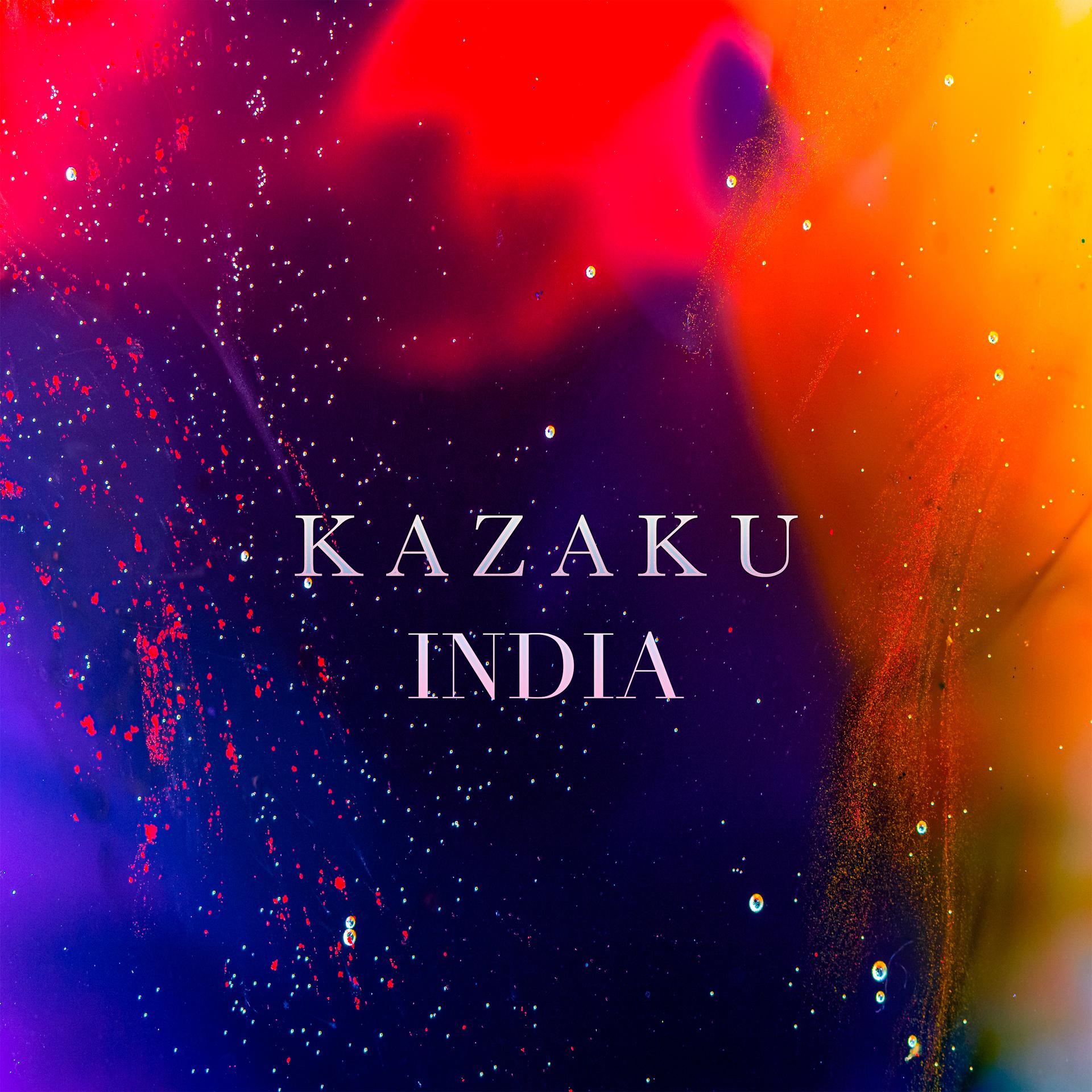 Постер альбома INDIA