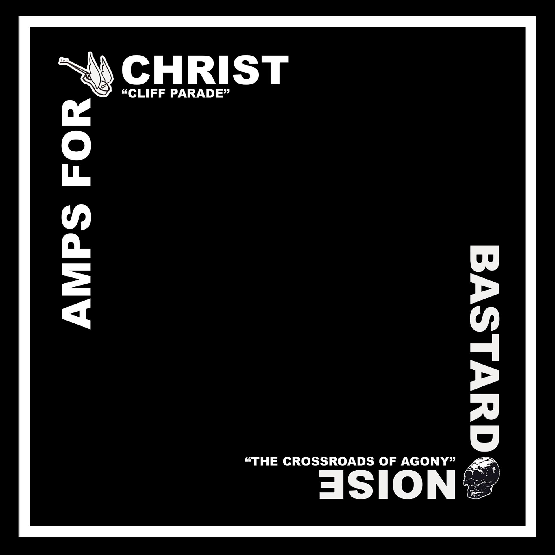 Постер альбома Amps for Christ / The Bastard Noise - Split