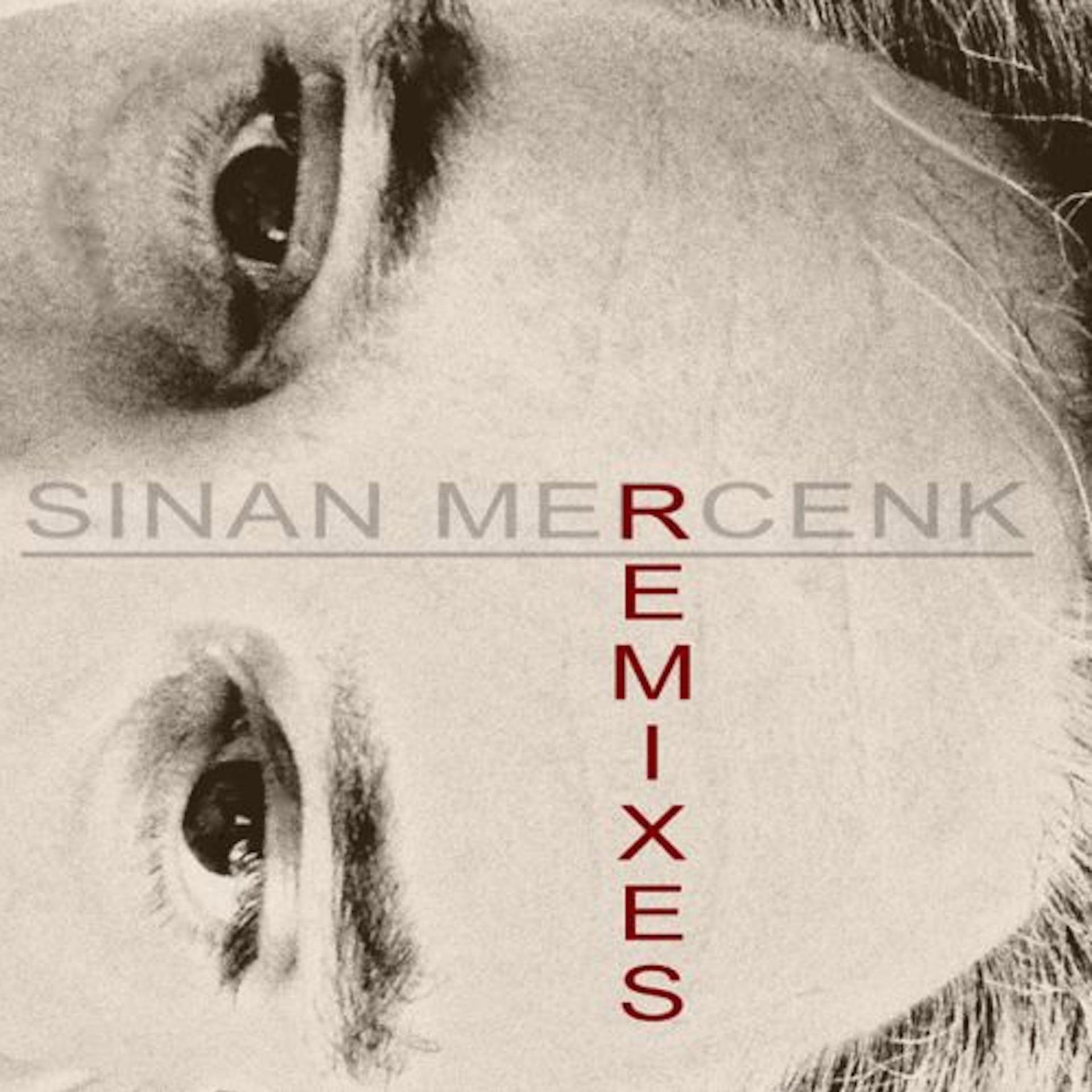 Постер альбома Sinan Mercenk Remixes
