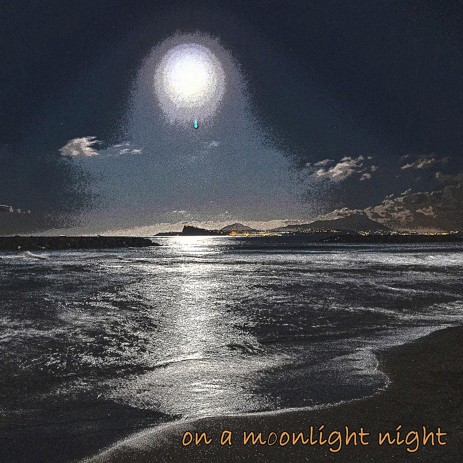 Постер альбома On a Moonlight Night
