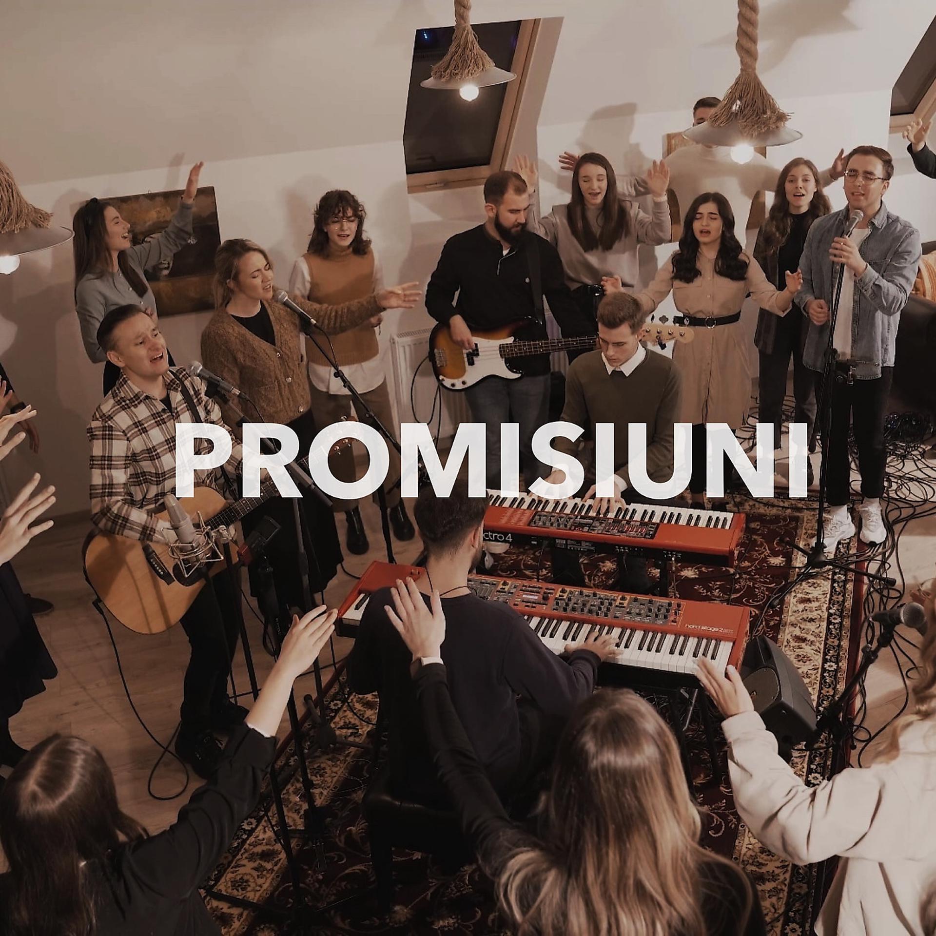Постер альбома Promisiuni