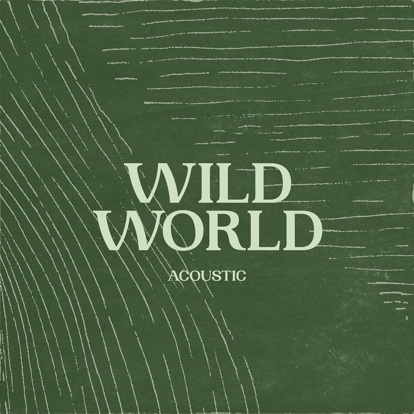 Постер альбома Wild World (Acoustic)