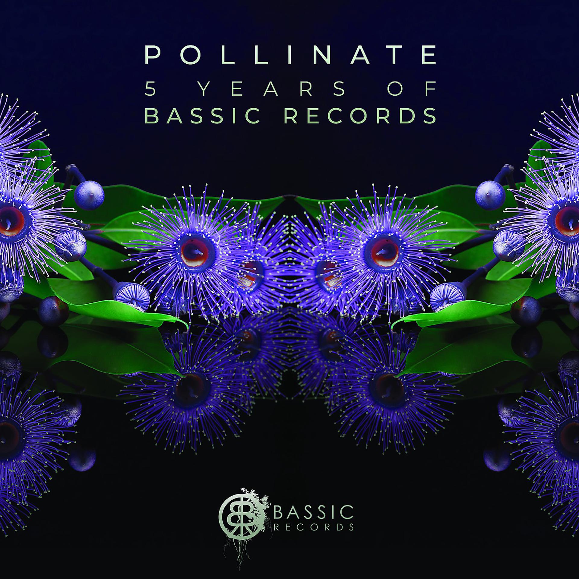 Постер альбома Pollinate (5 Years of Bassic Records)