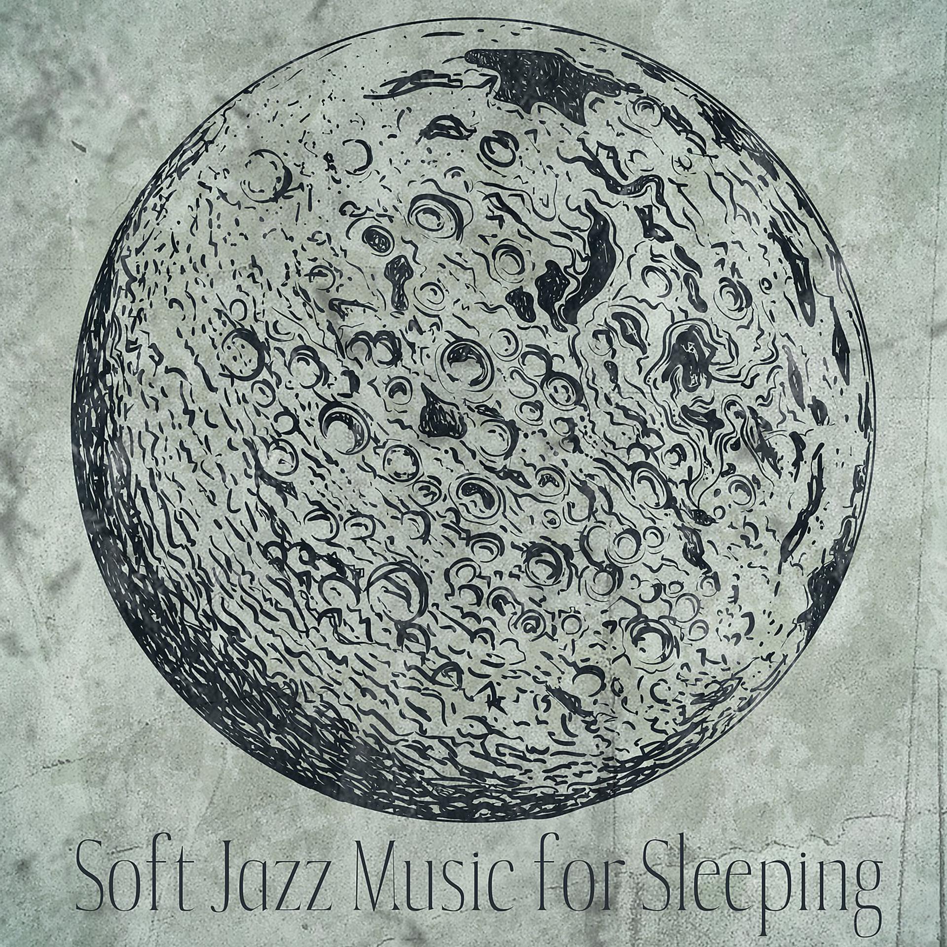 Постер альбома Soft Jazz Music for Sleeping