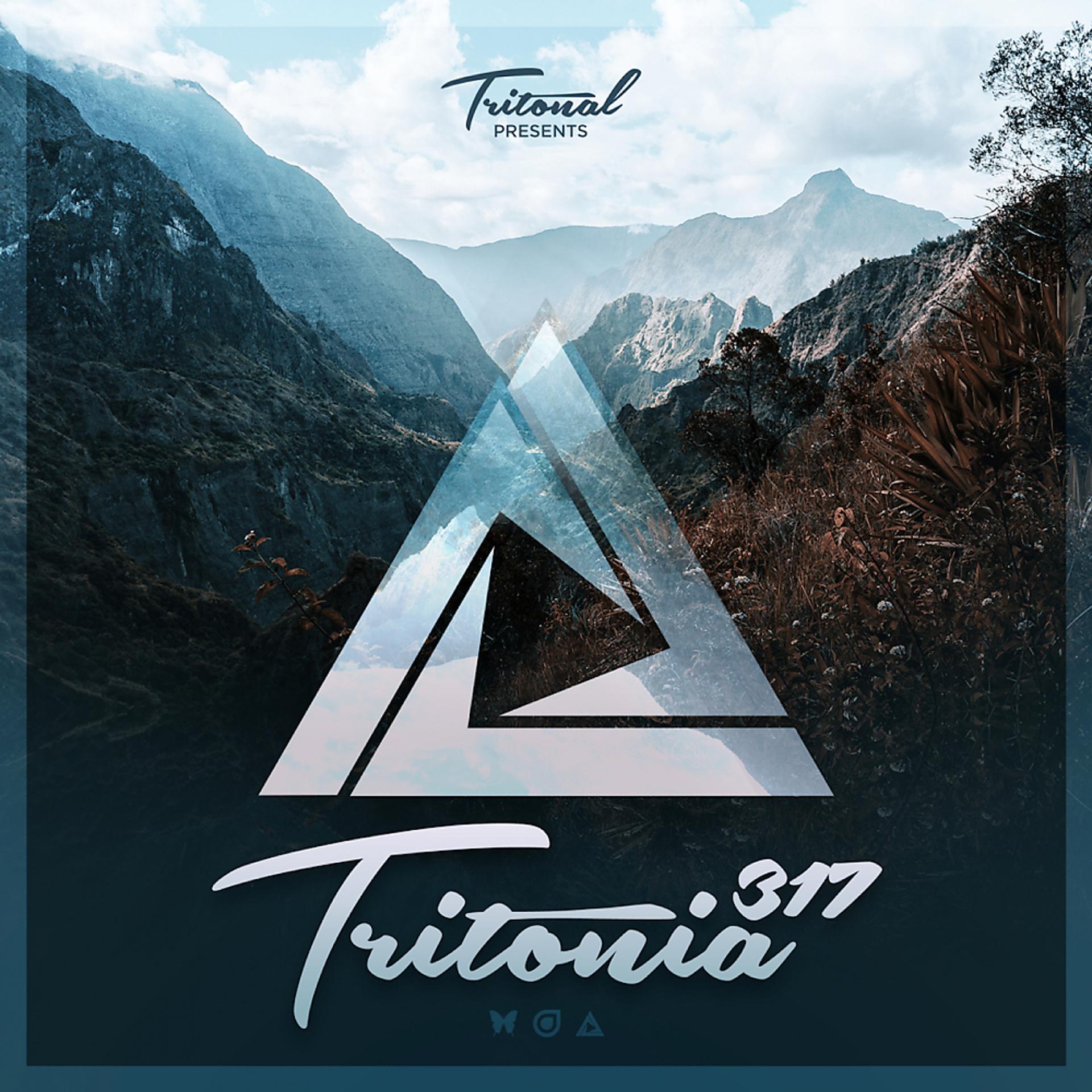 Постер альбома Tritonia 317
