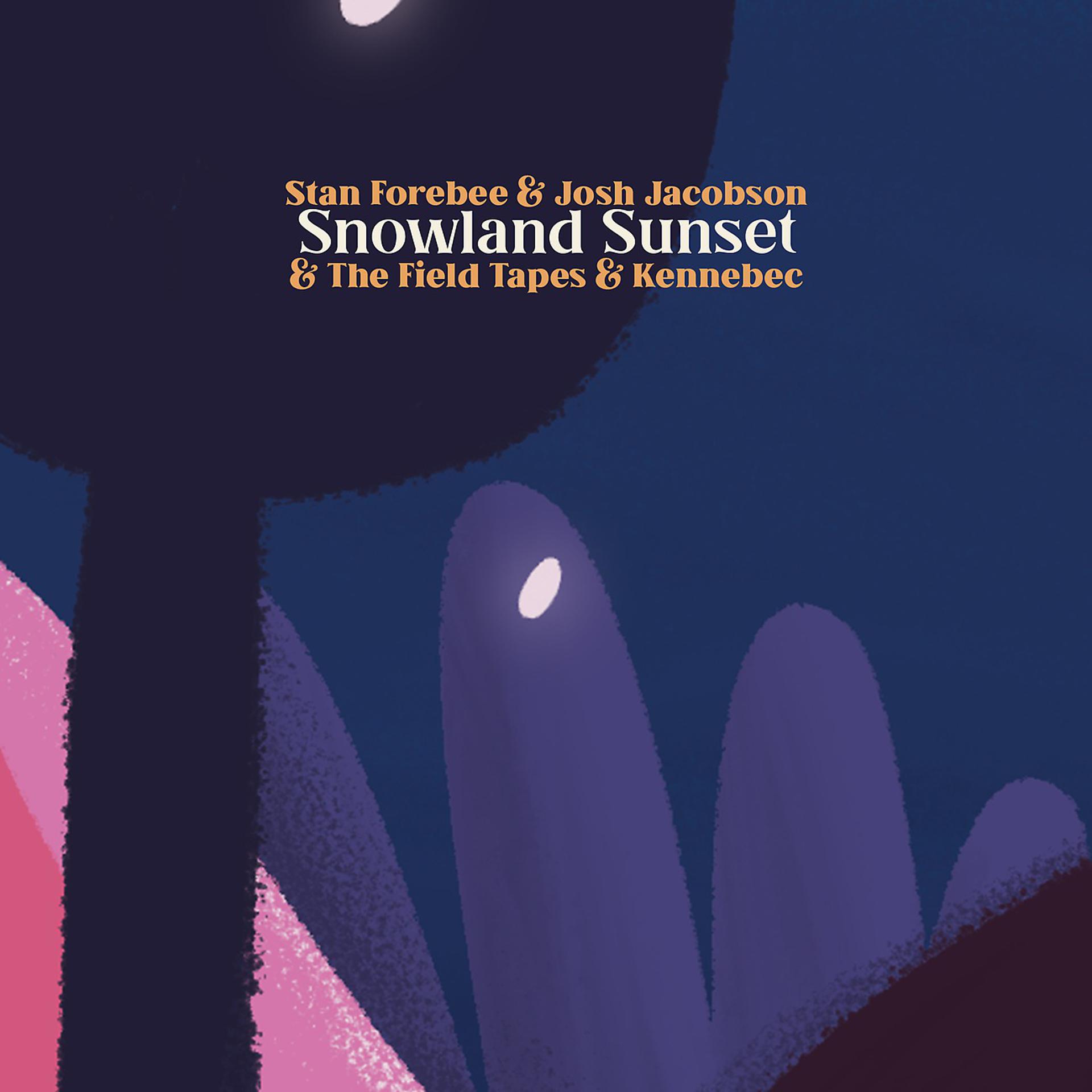 Постер альбома Snowland Sunset