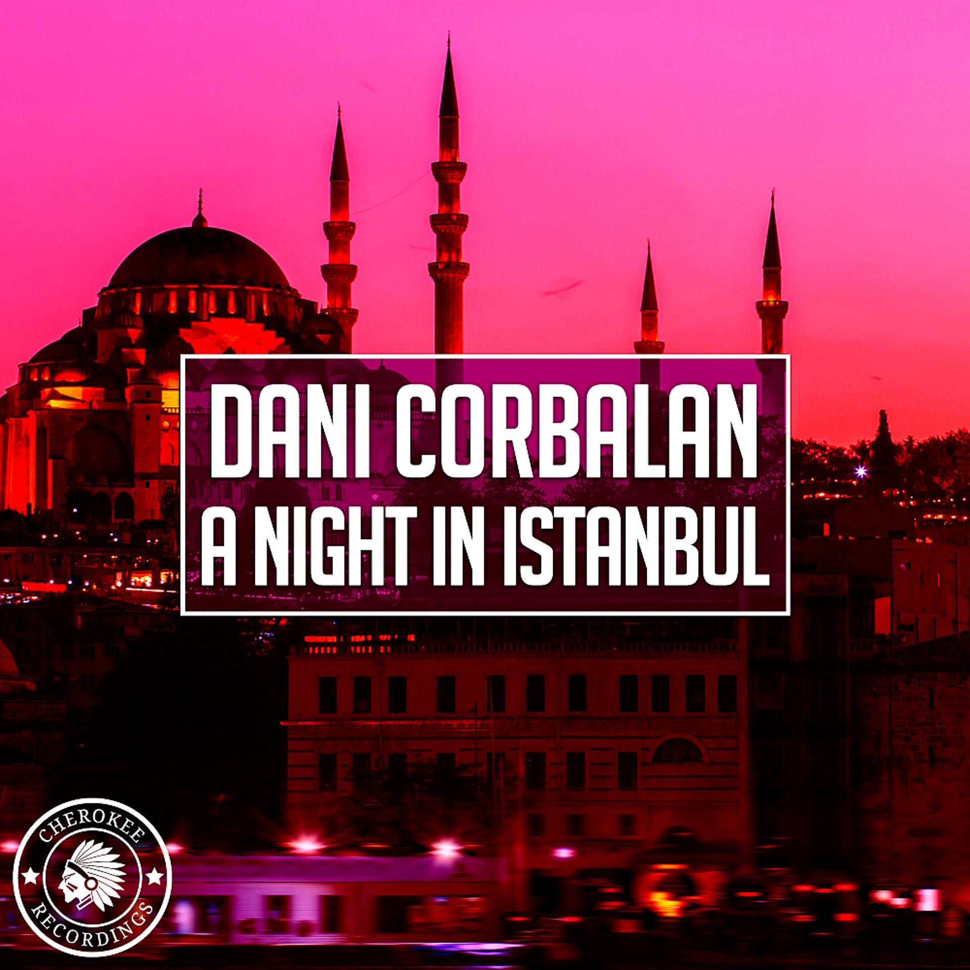 Постер альбома A Night In Istanbul